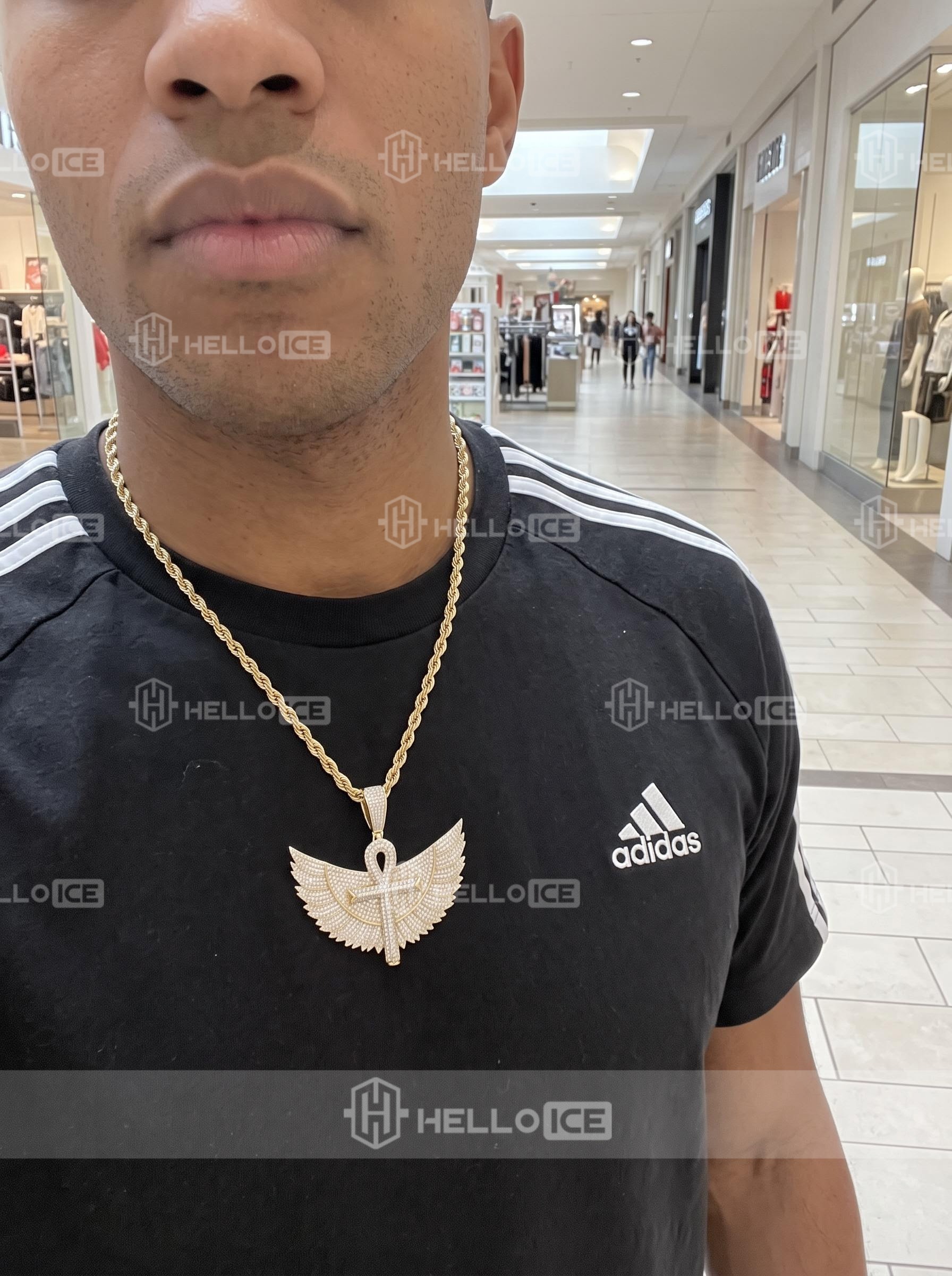 Helloice Review Image