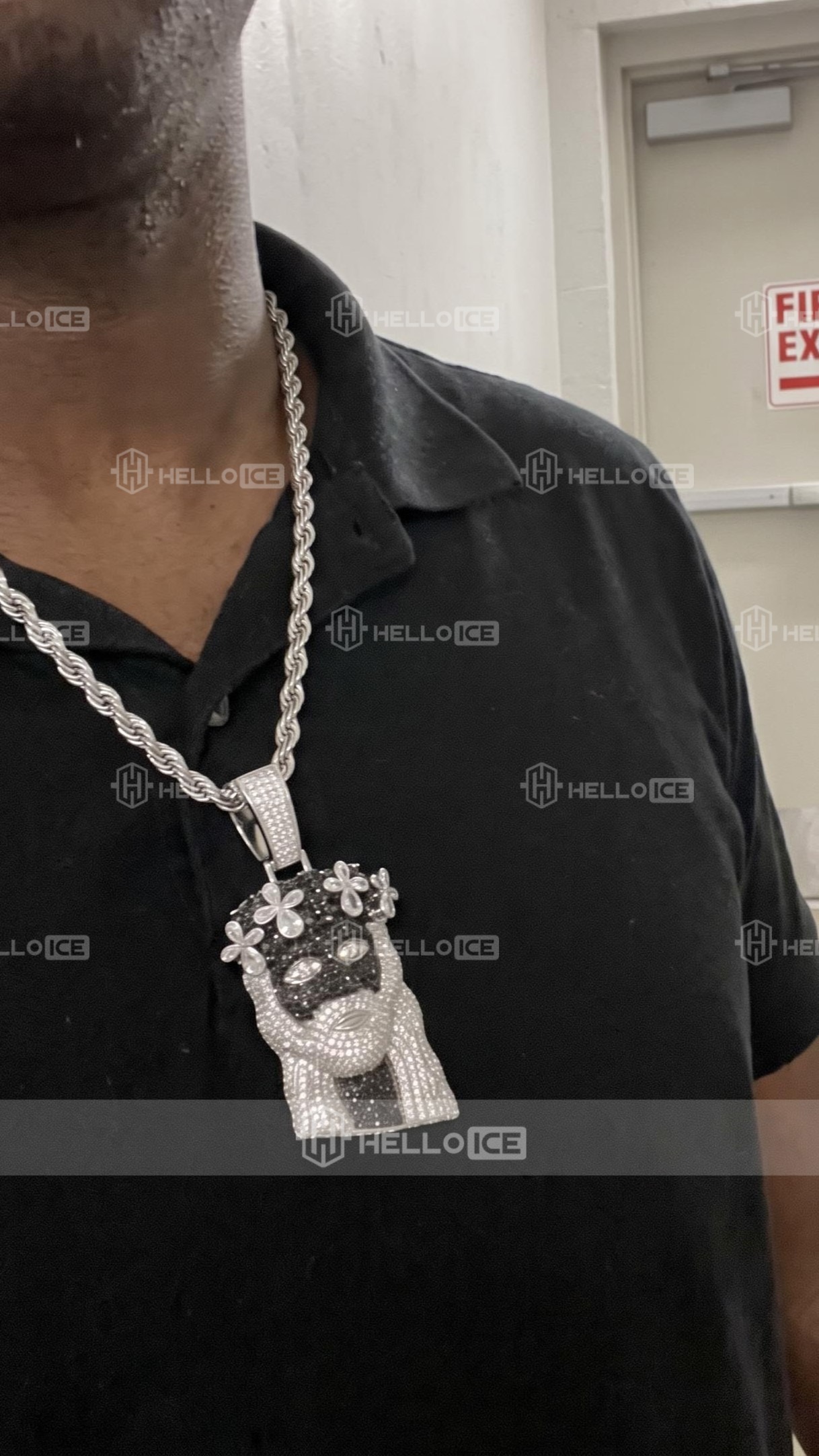 Helloice Review Image