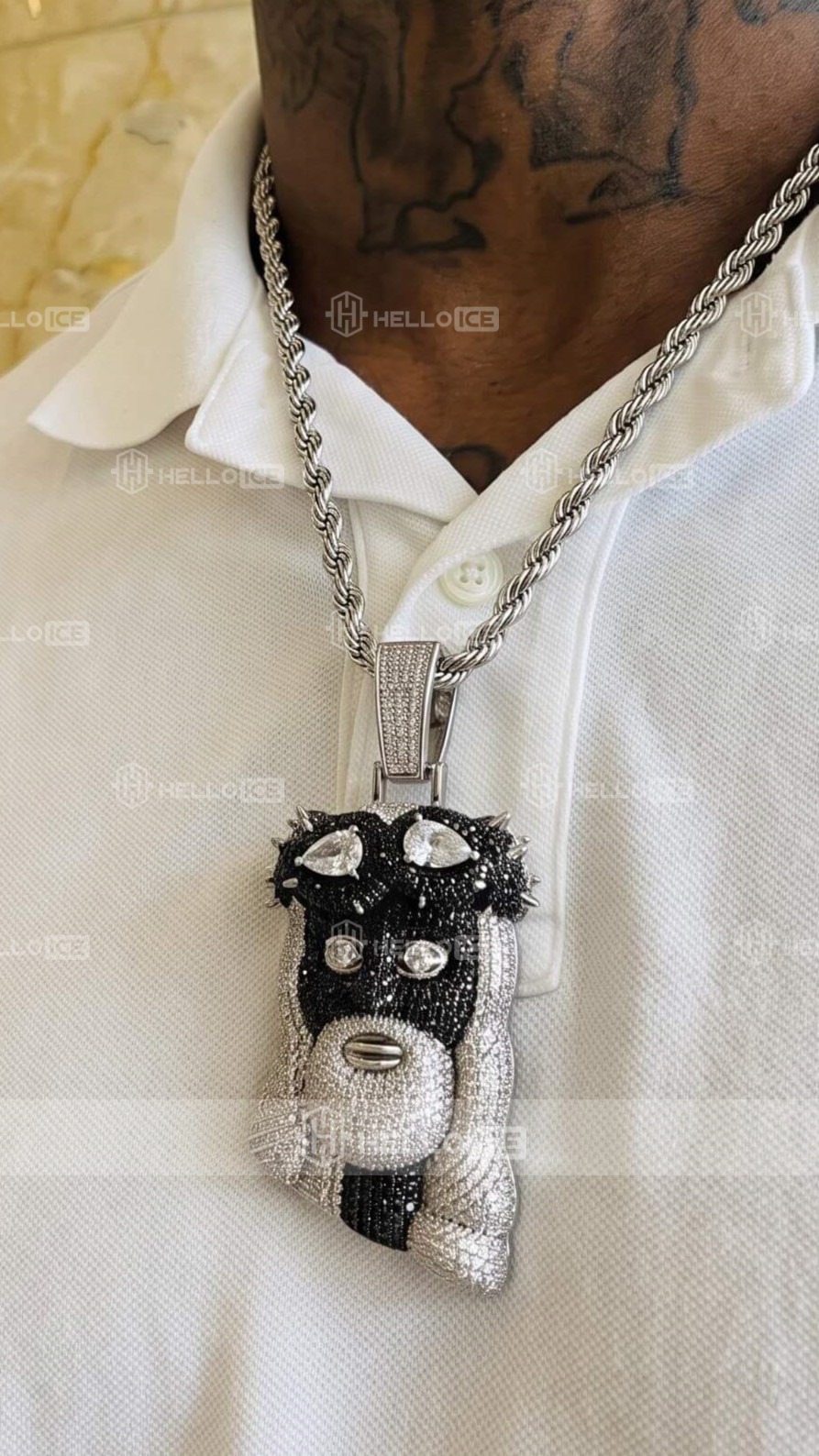 Helloice Review Image