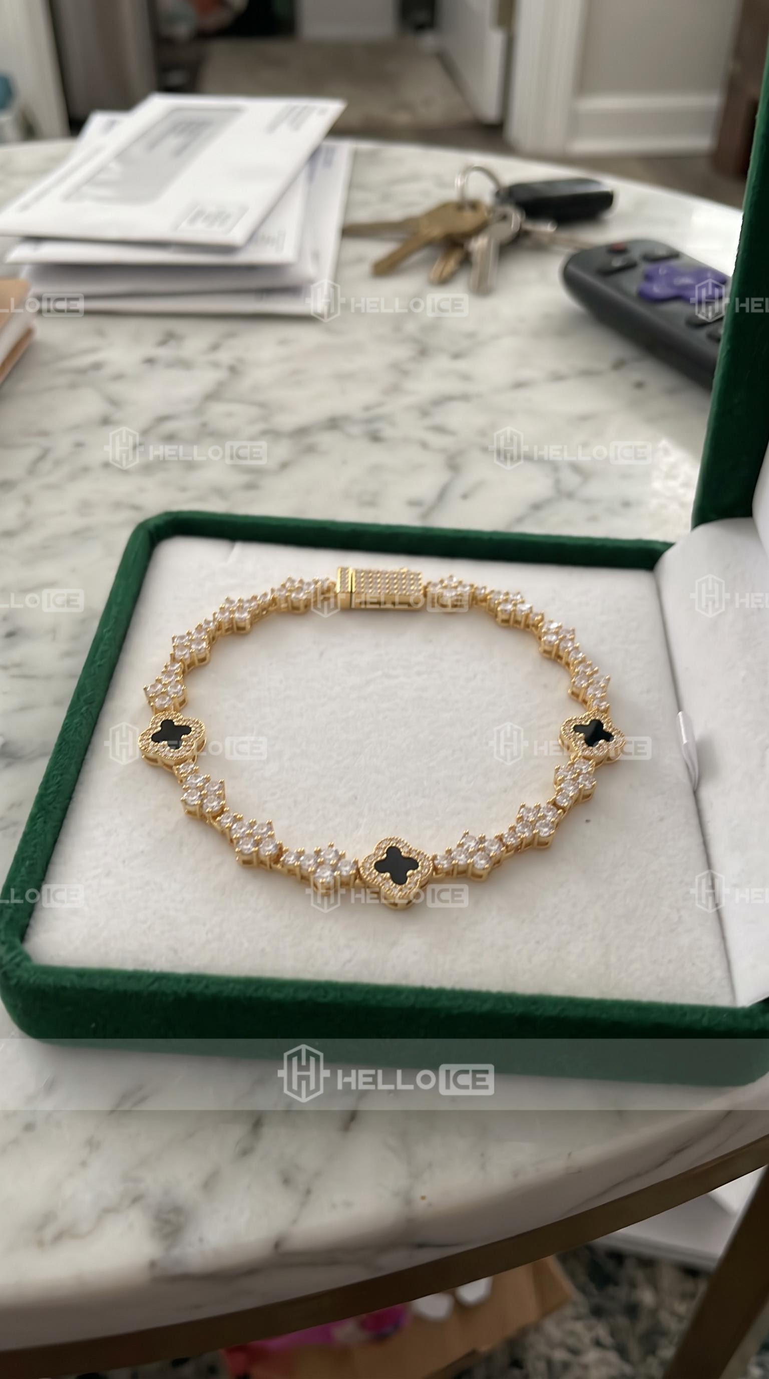 Helloice Review Image