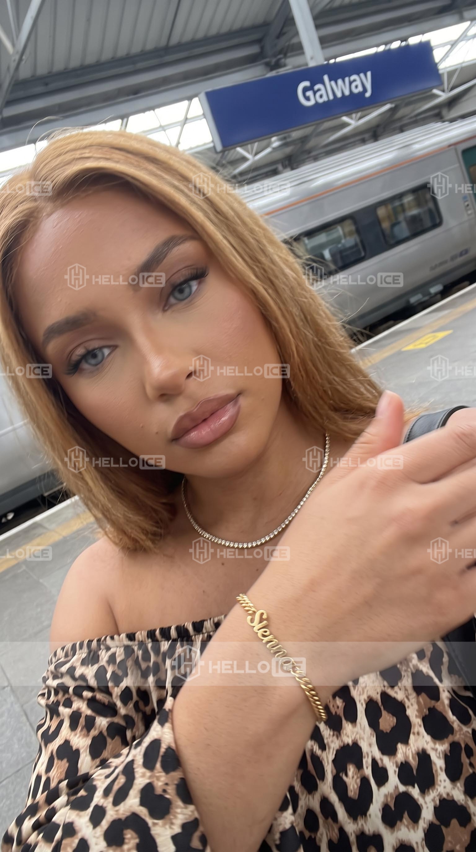 Helloice Review Image