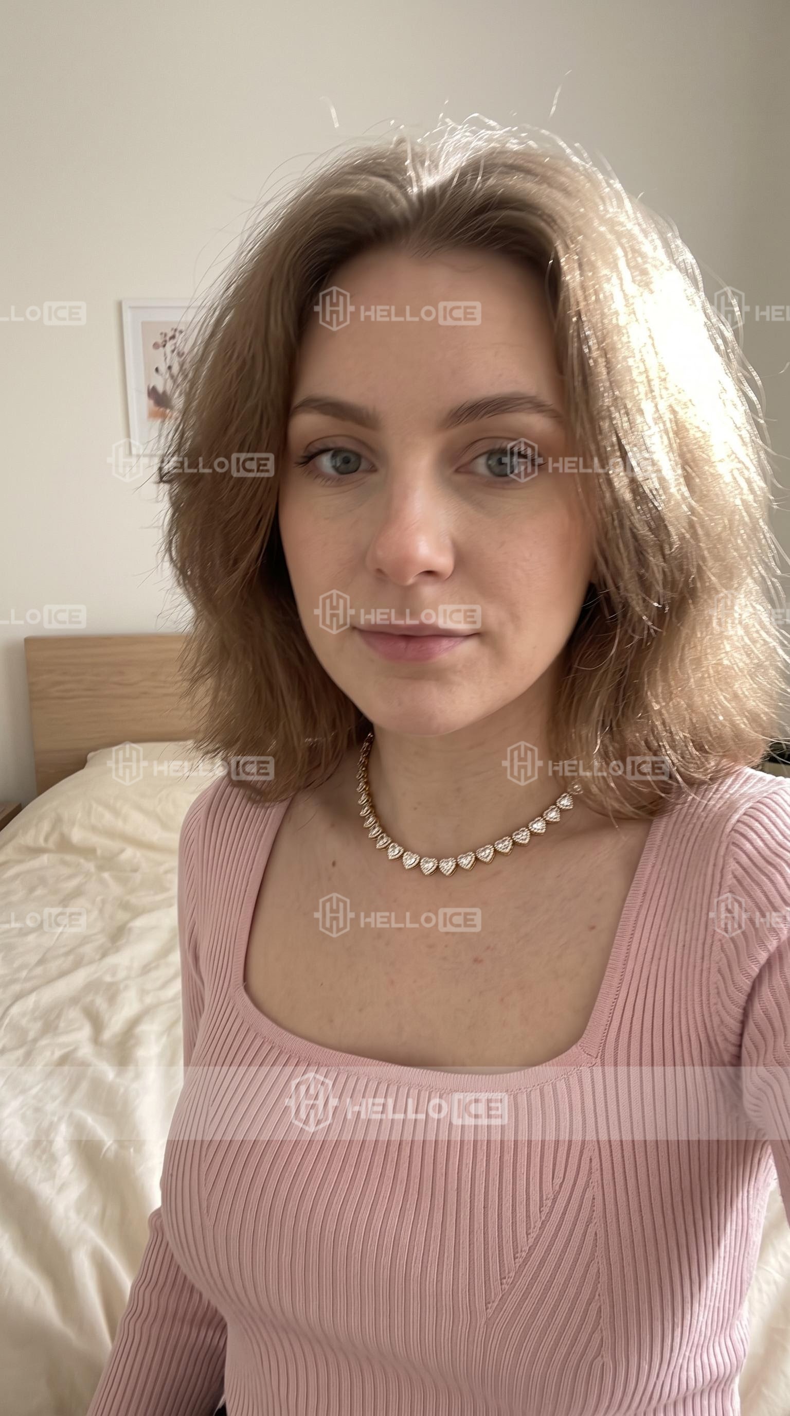 Helloice Review Image