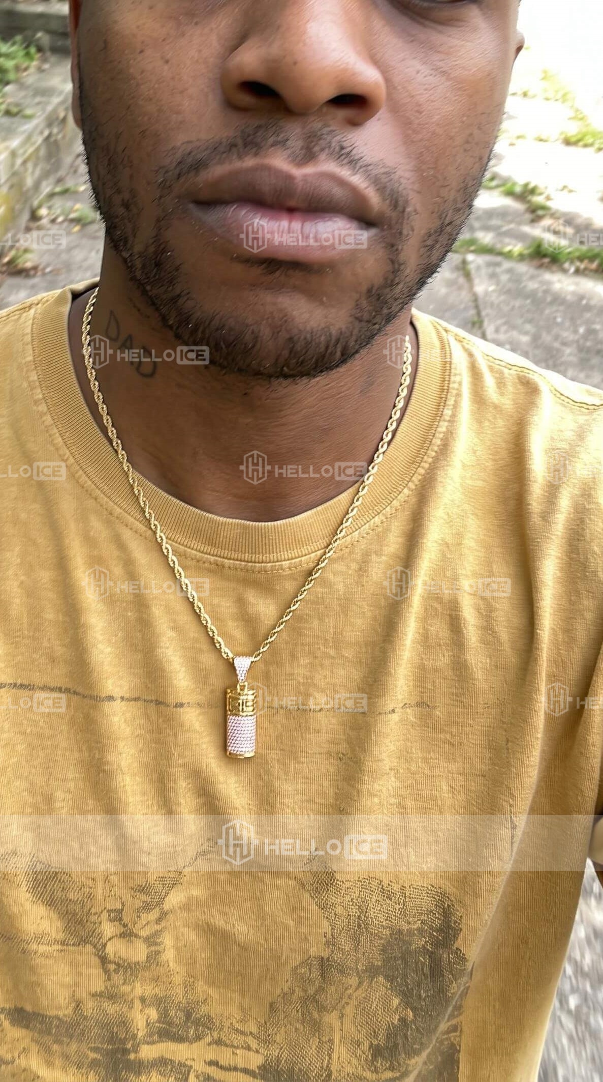Helloice Review Image