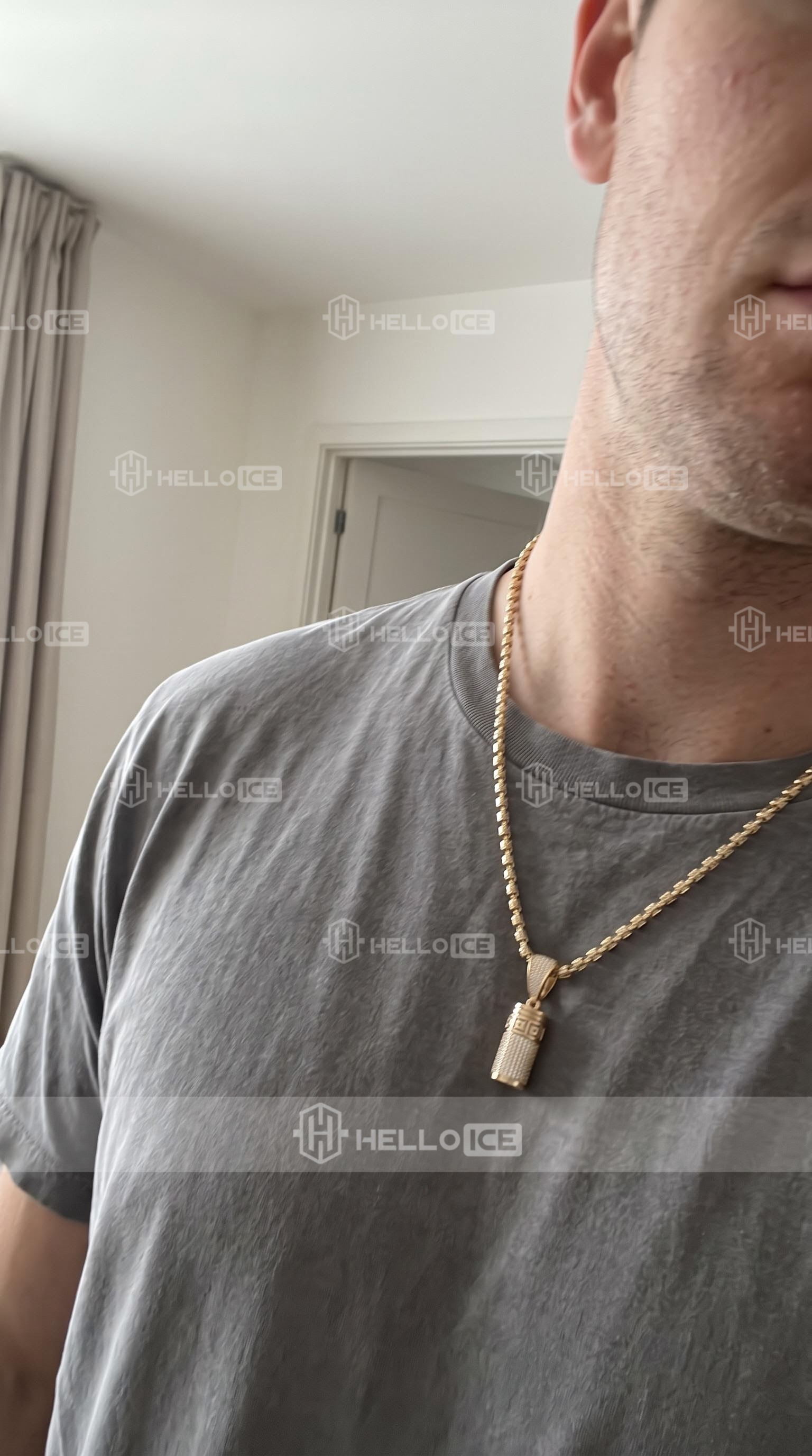 Helloice Review Image