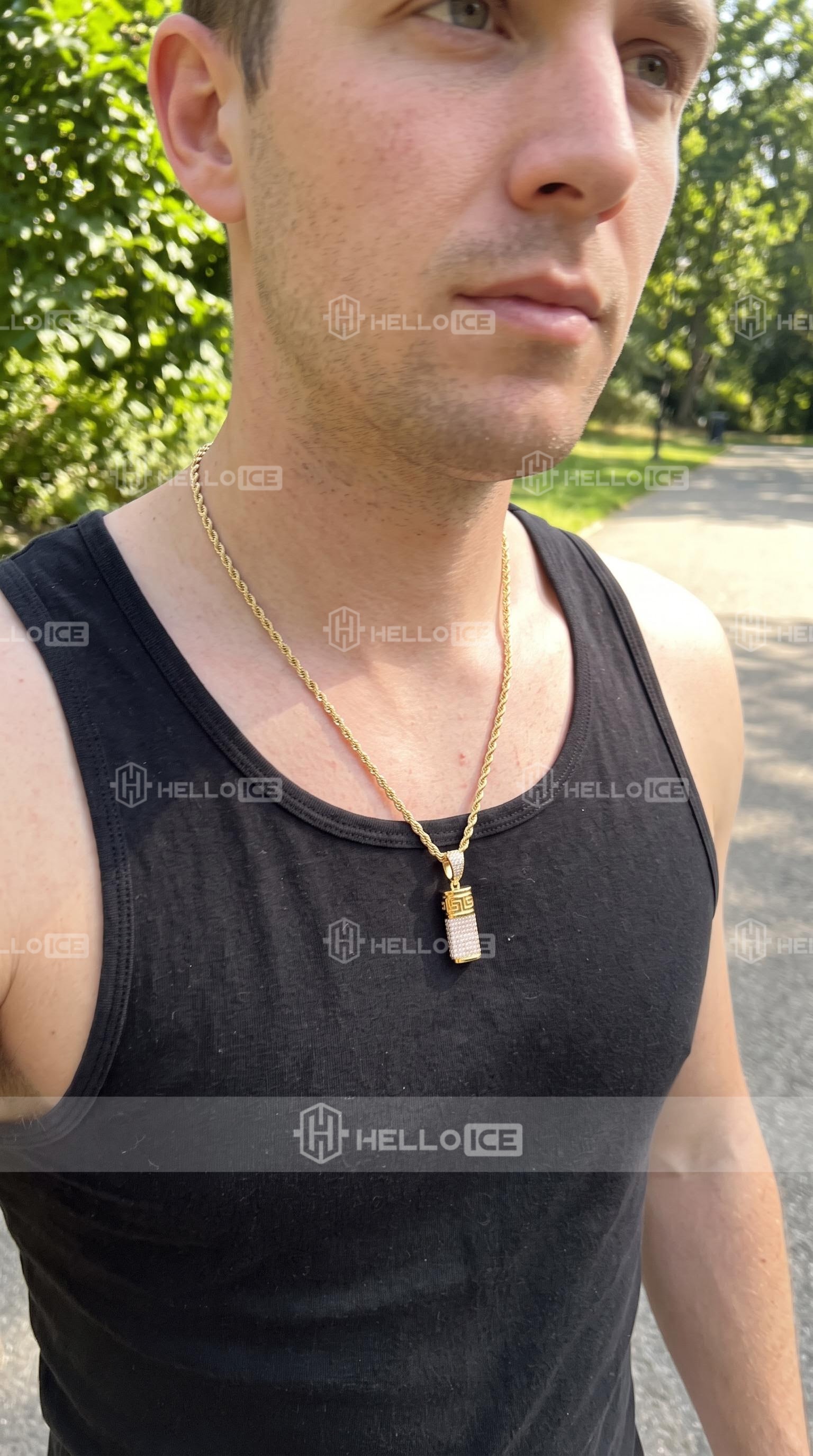 Helloice Review Image