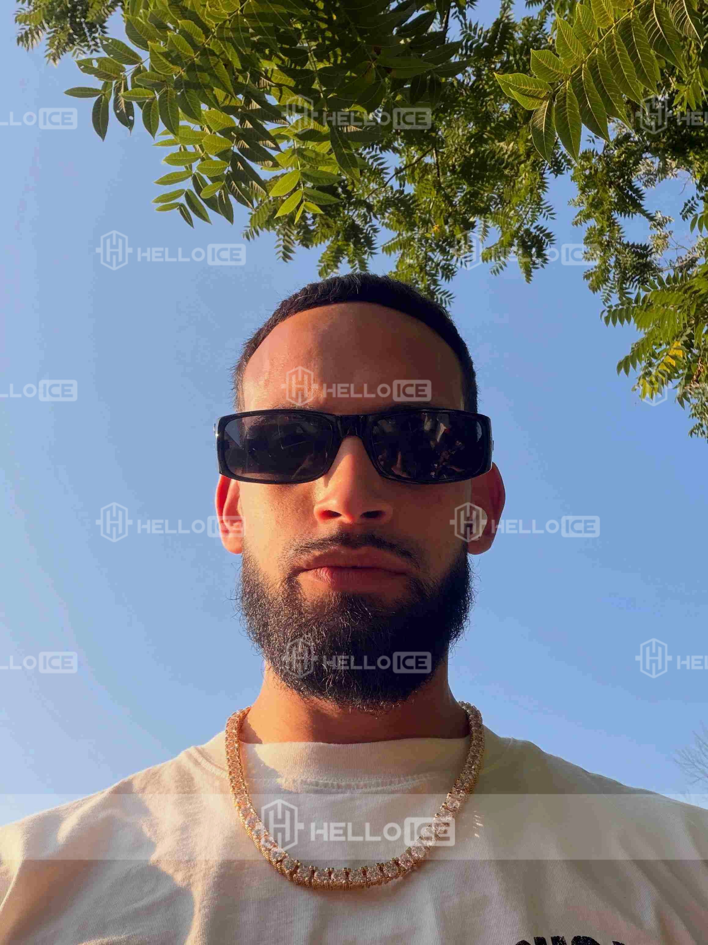 Helloice Review Image