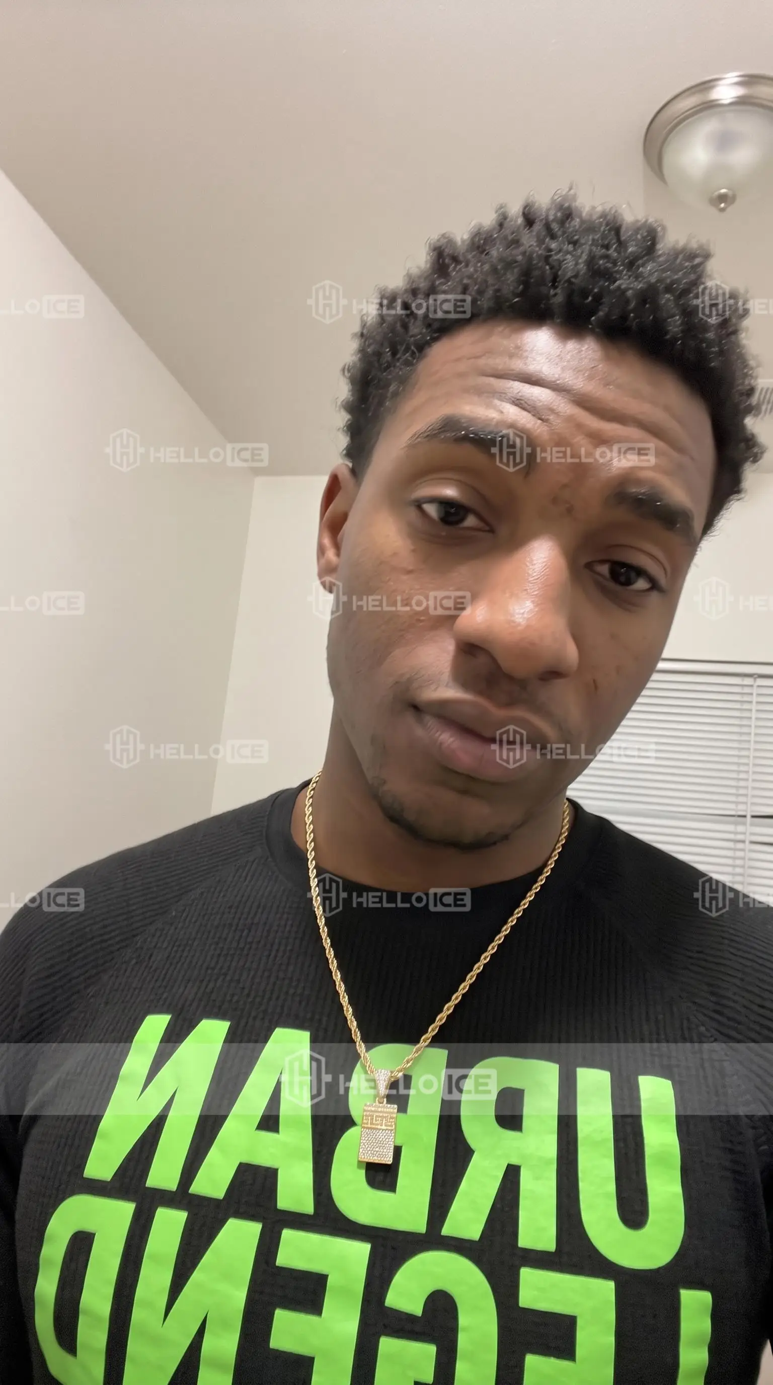 Helloice Review Image