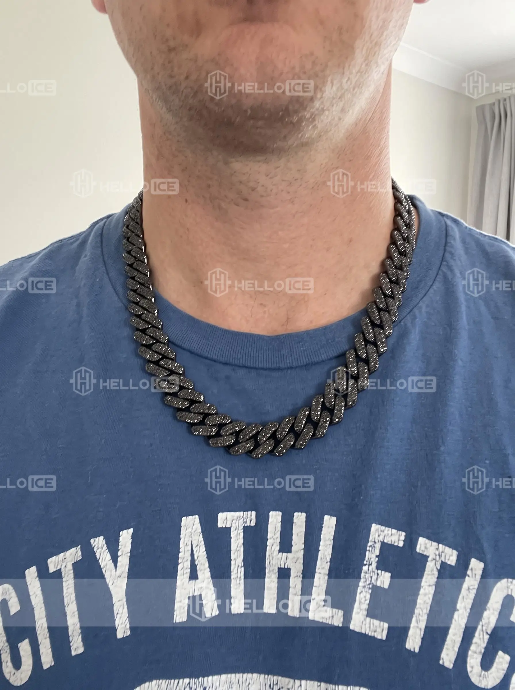 Helloice Review Image