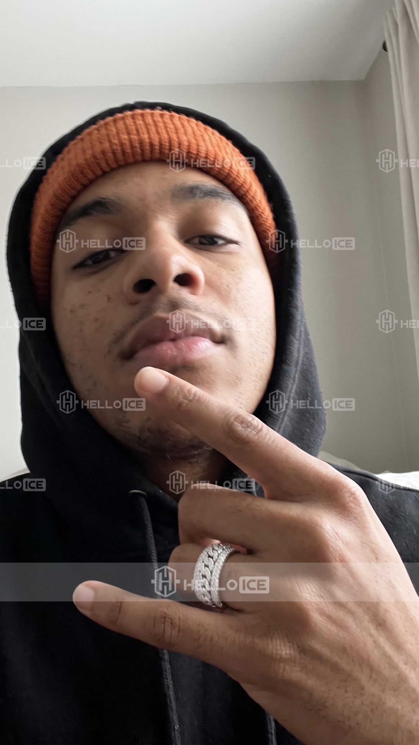 Helloice Review Image