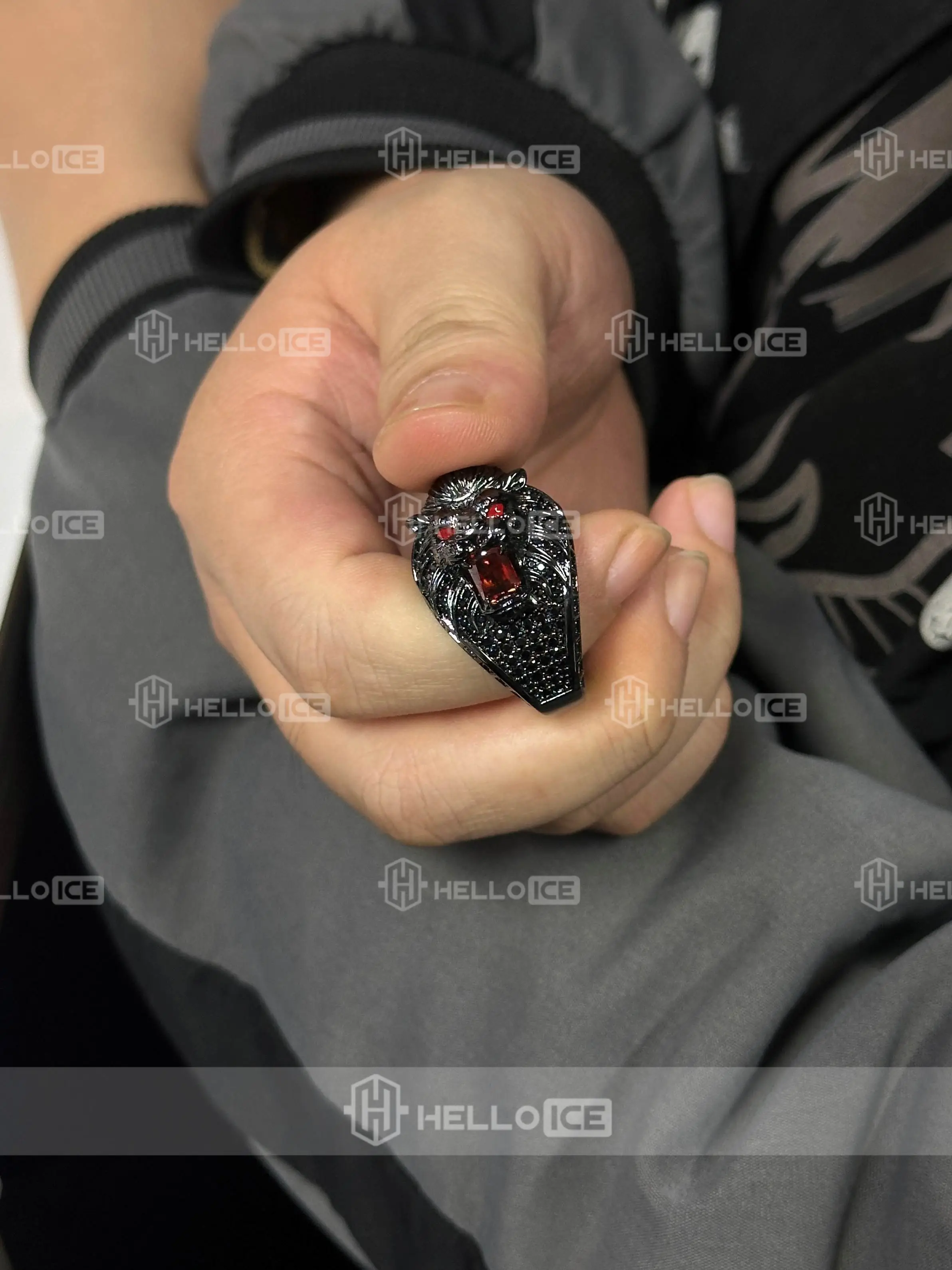 Helloice Review Image