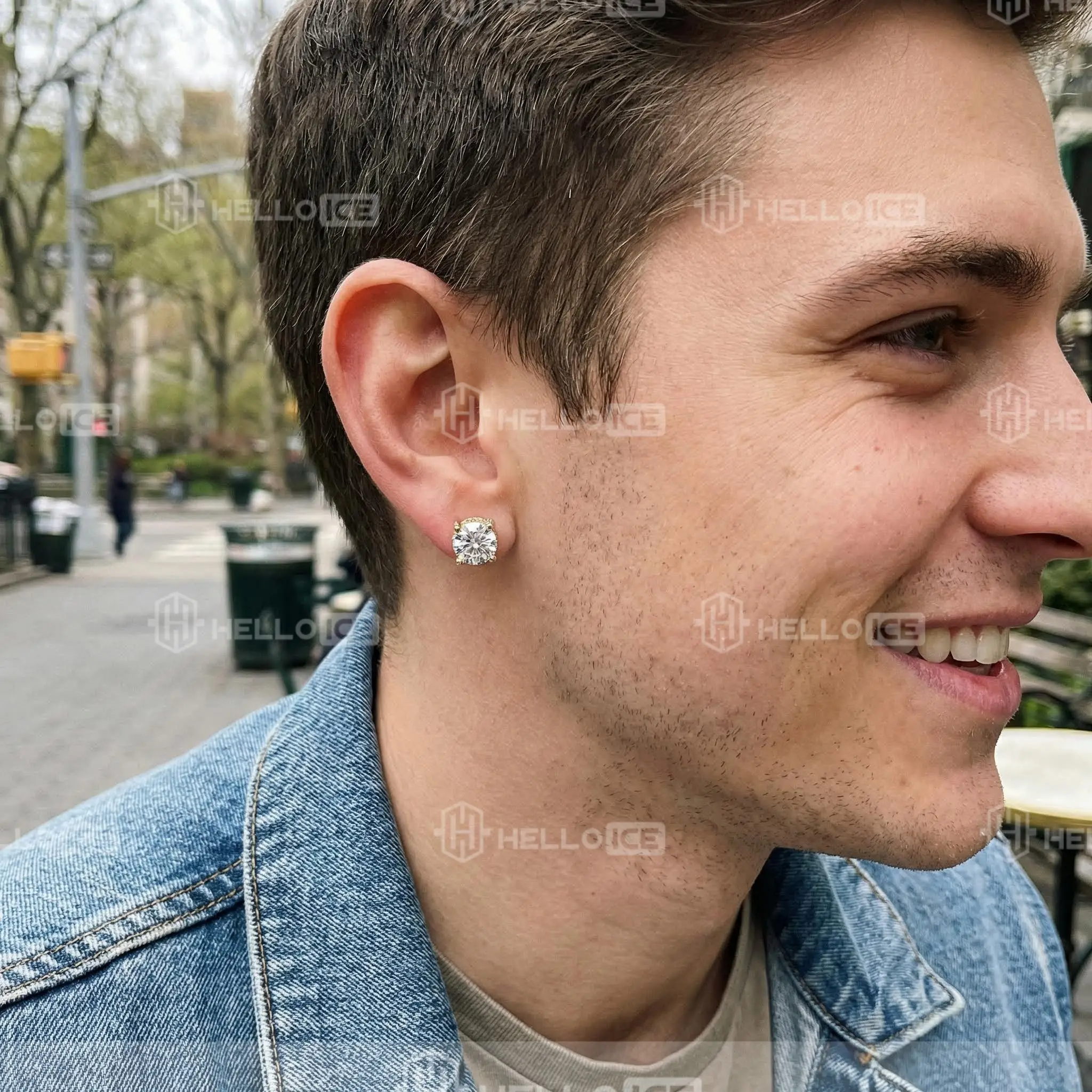 Helloice Review Image