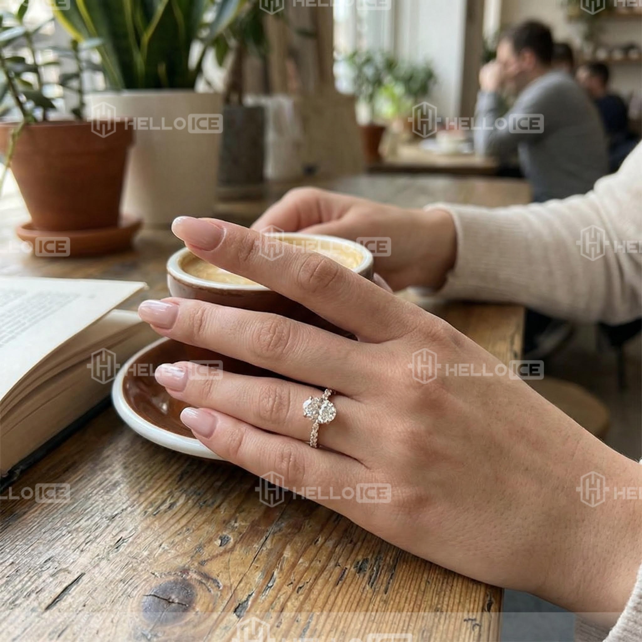 Helloice Review Image