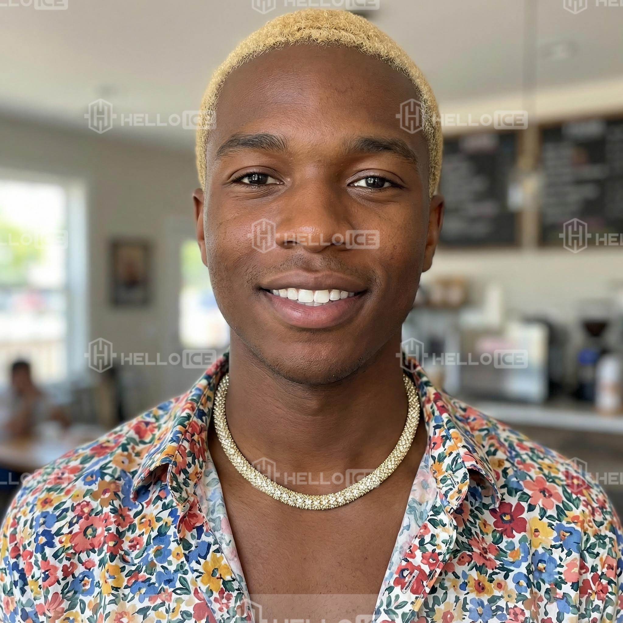 Helloice Review Image