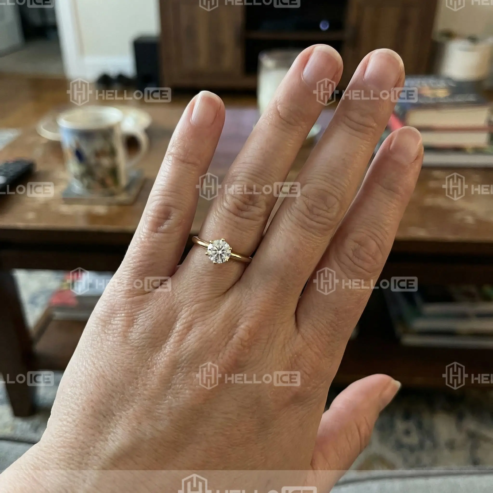 Helloice Review Image