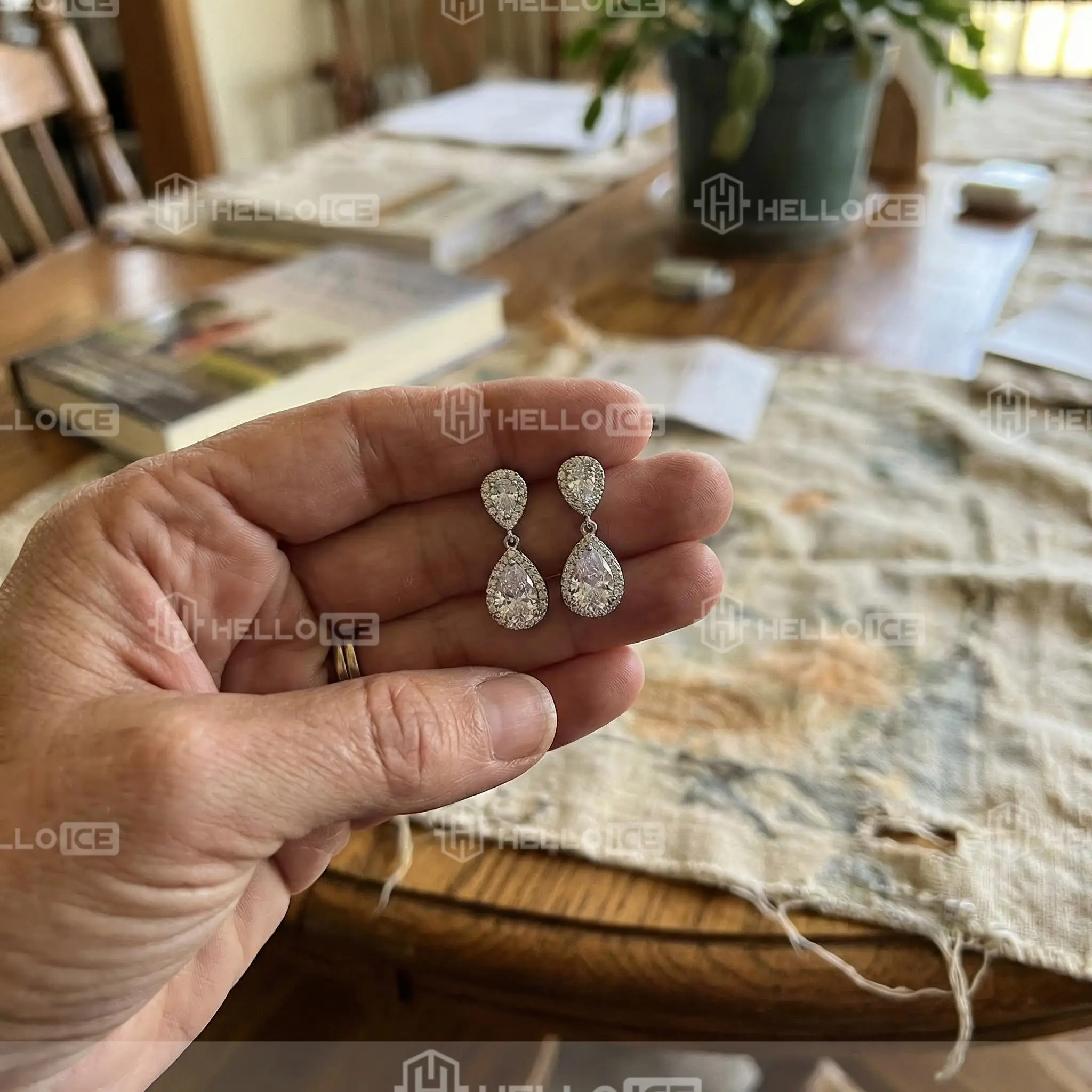 Helloice Review Image