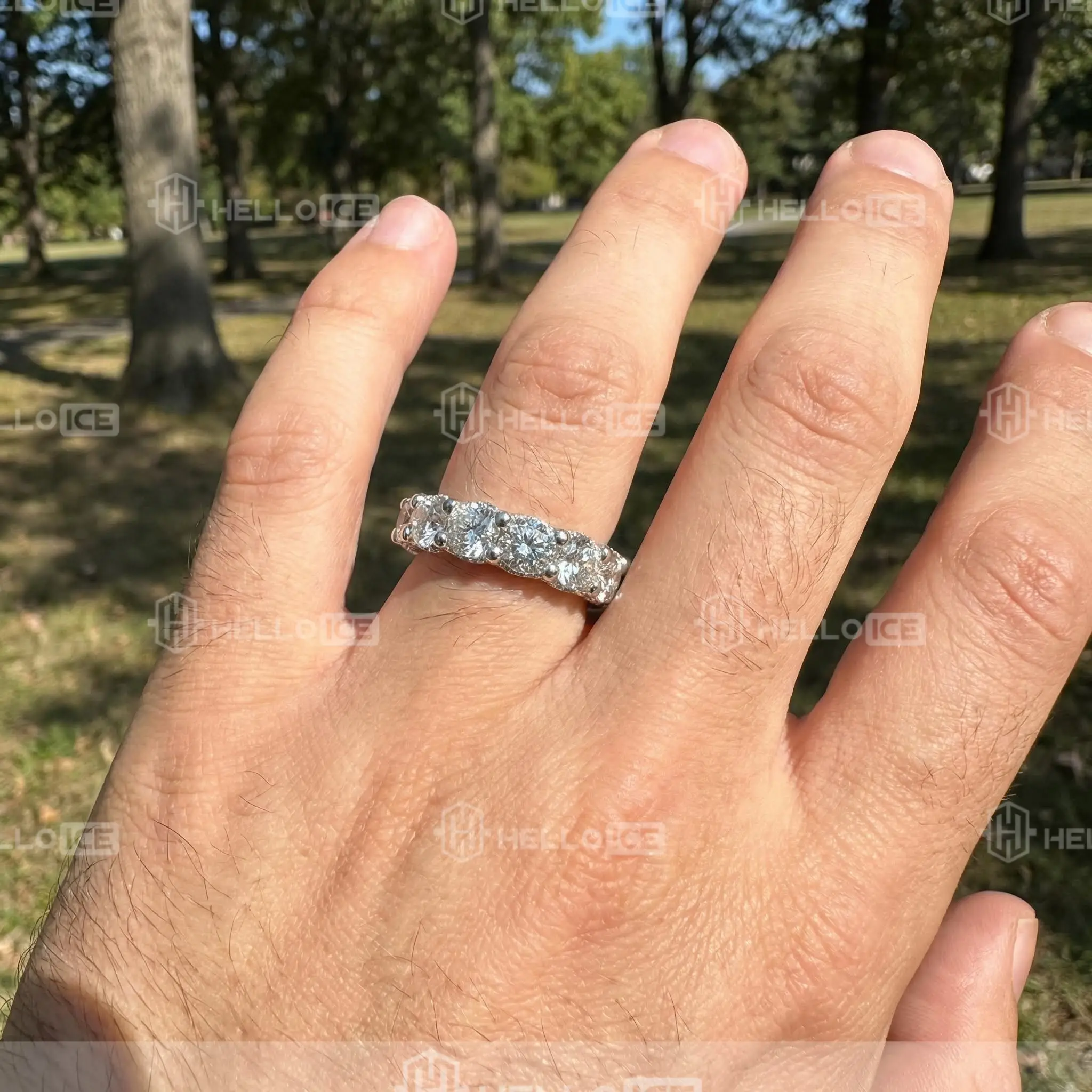 Helloice Review Image