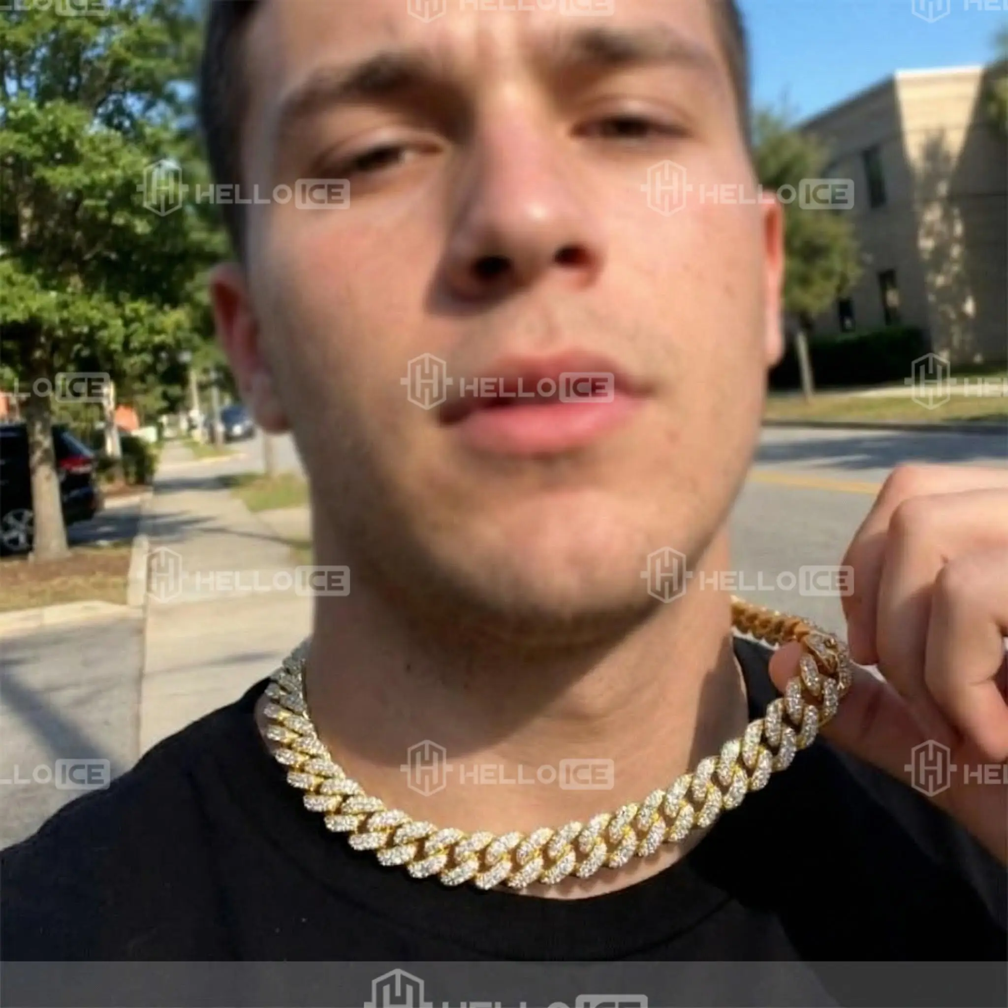 Helloice Review Image