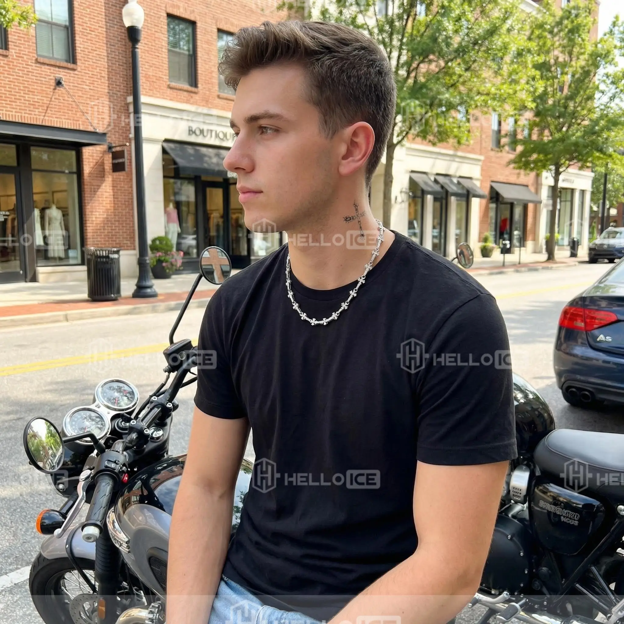 Helloice Review Image