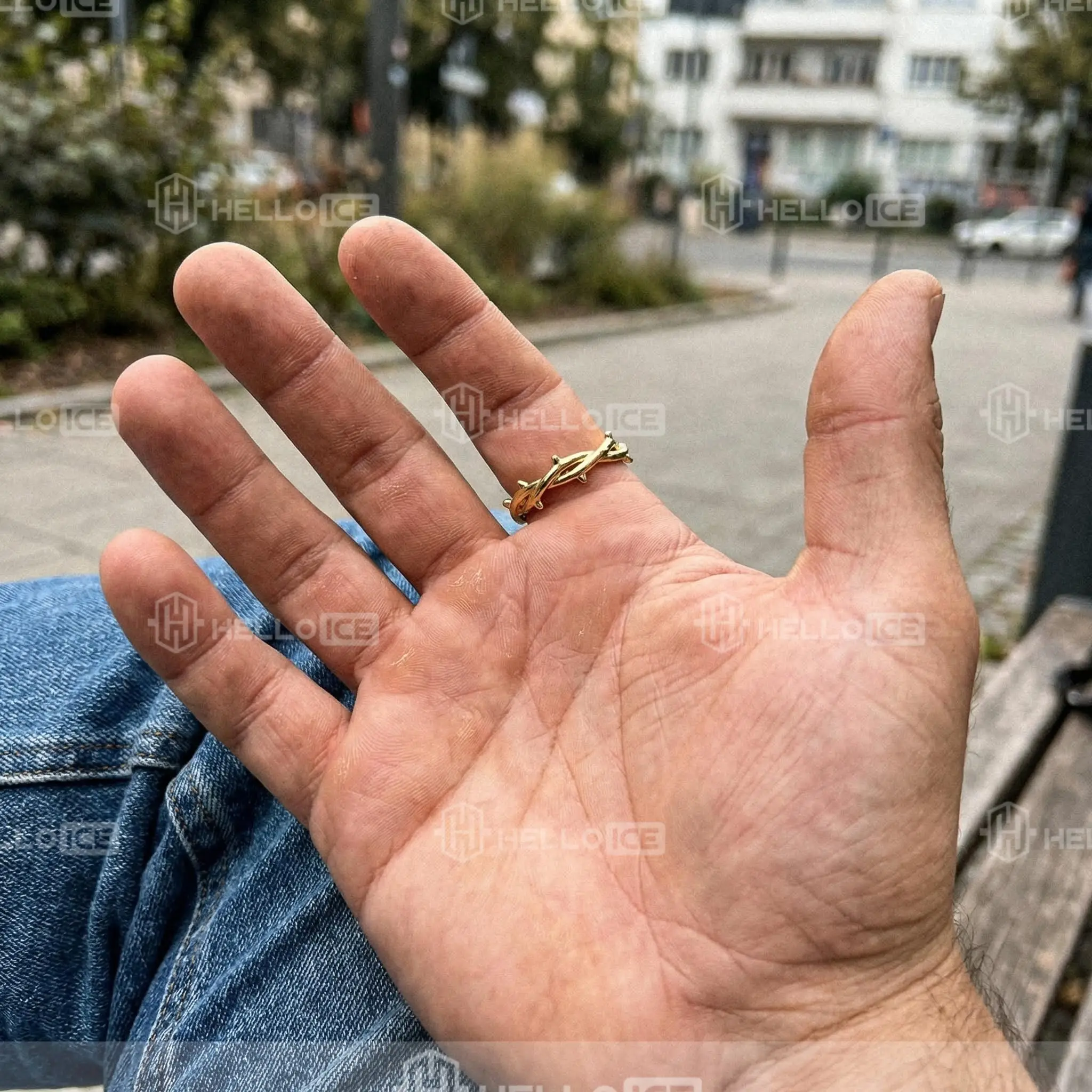 Helloice Review Image