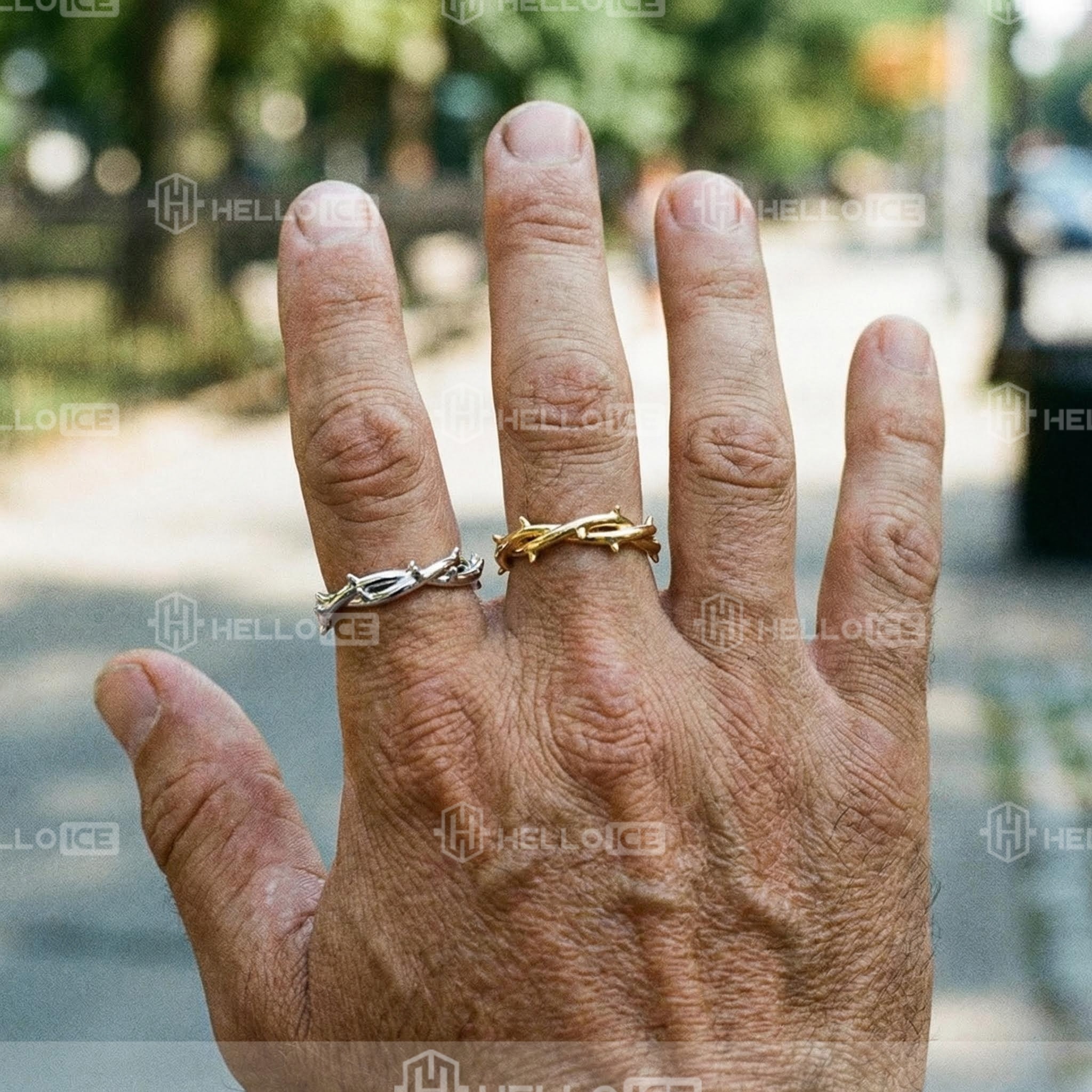 Helloice Review Image