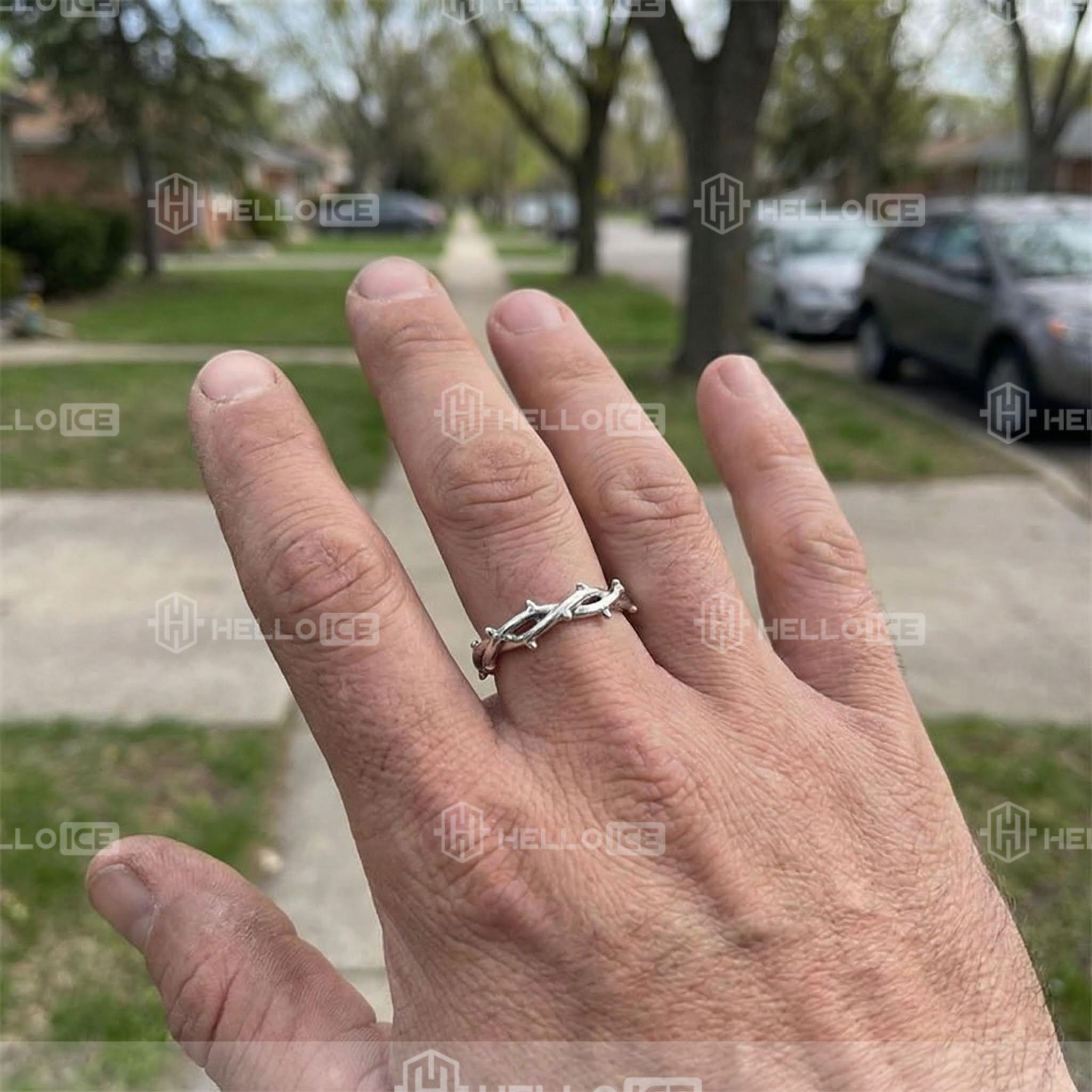 Helloice Review Image