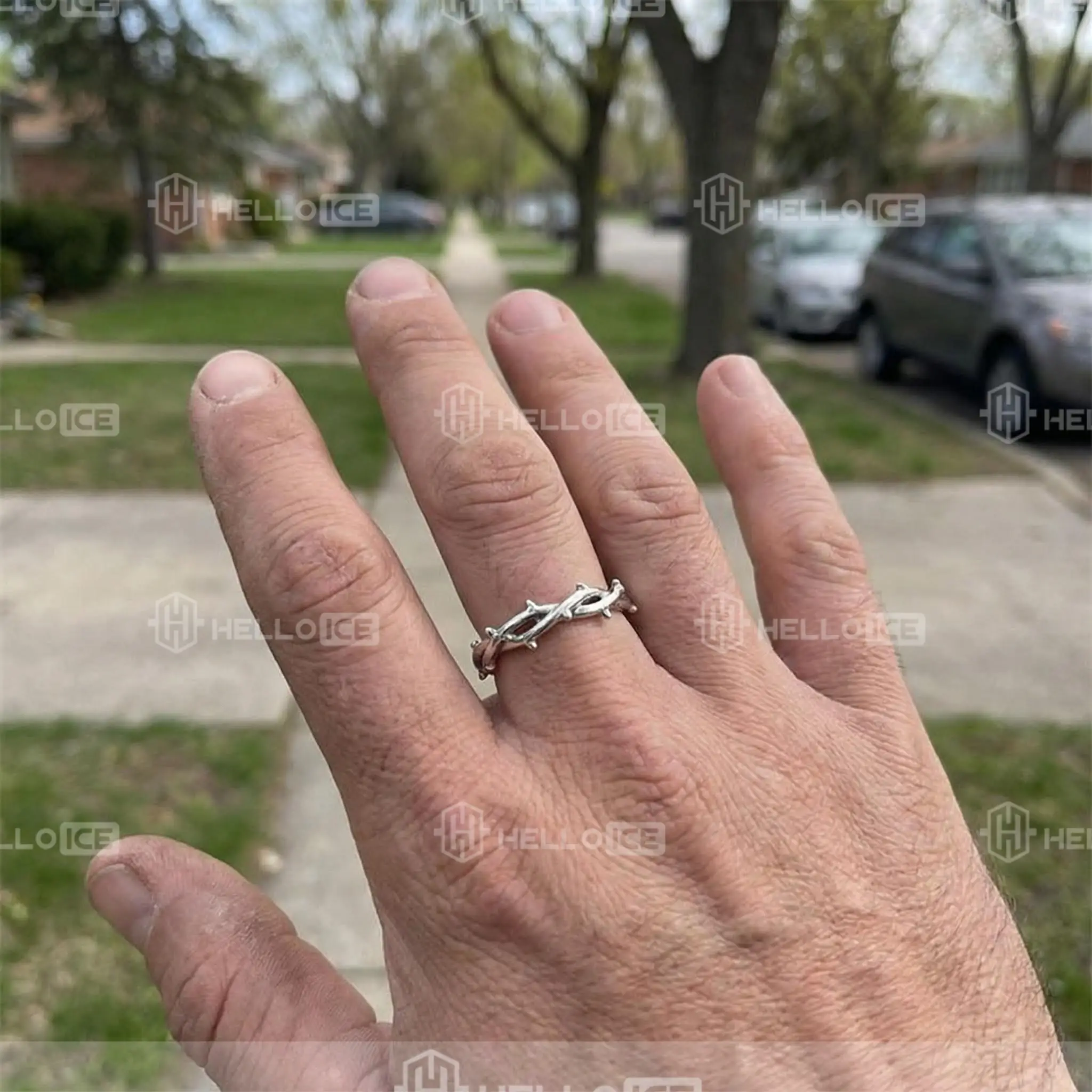 Helloice Review Image