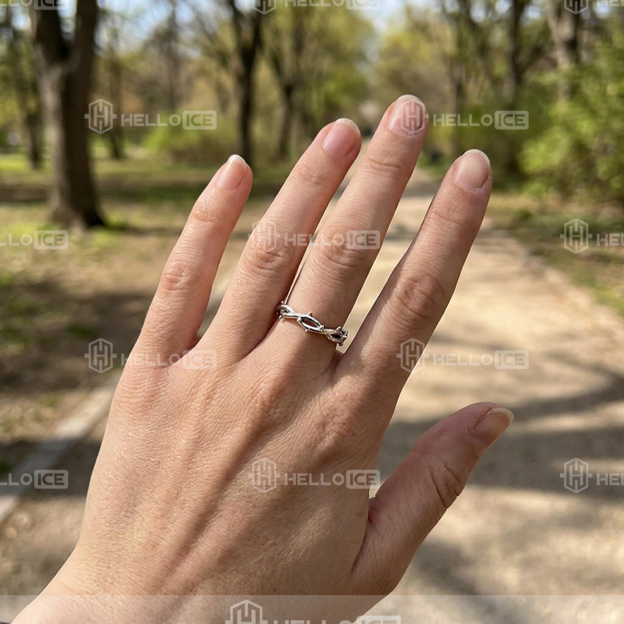 Helloice Review Image