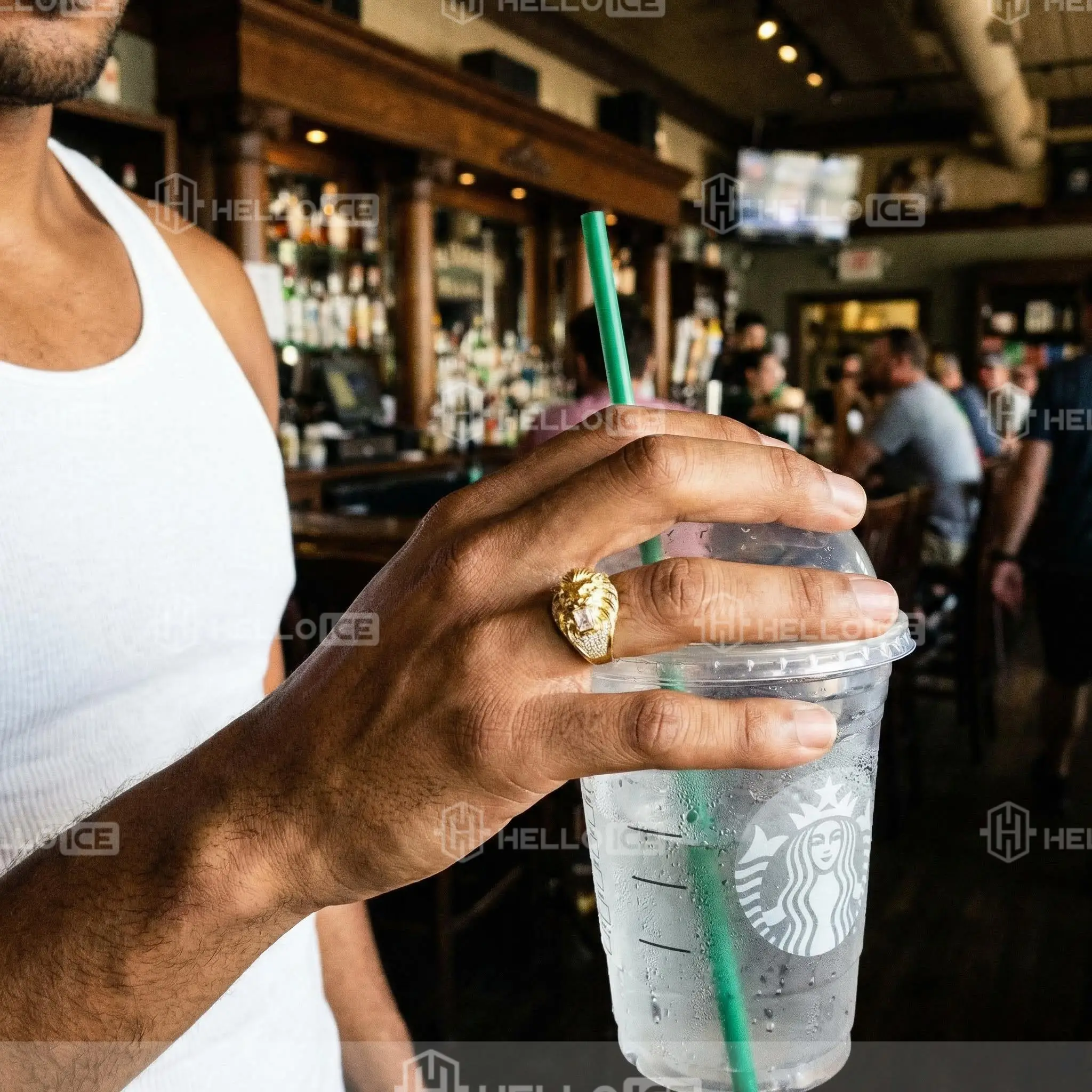 Helloice Review Image