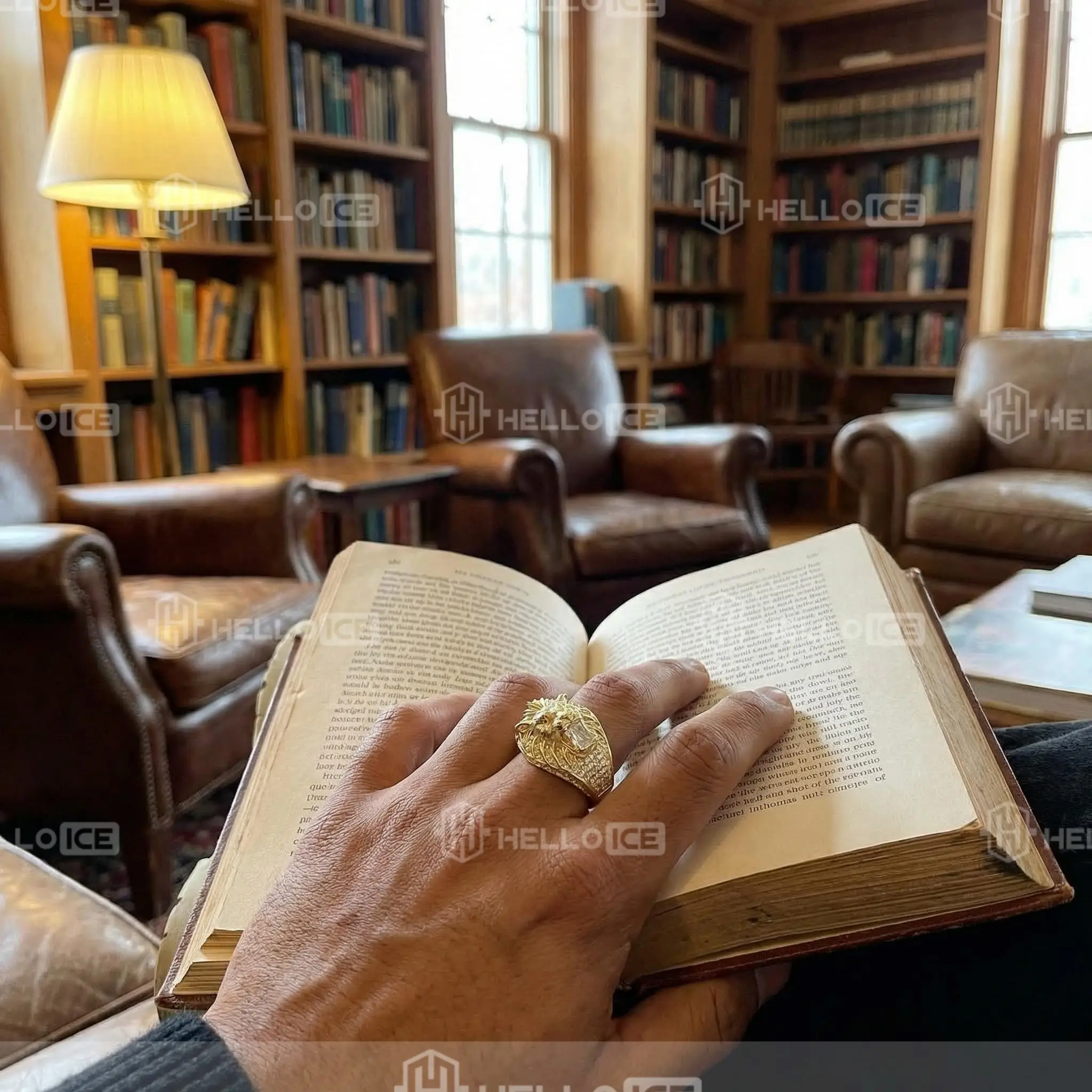 Helloice Review Image