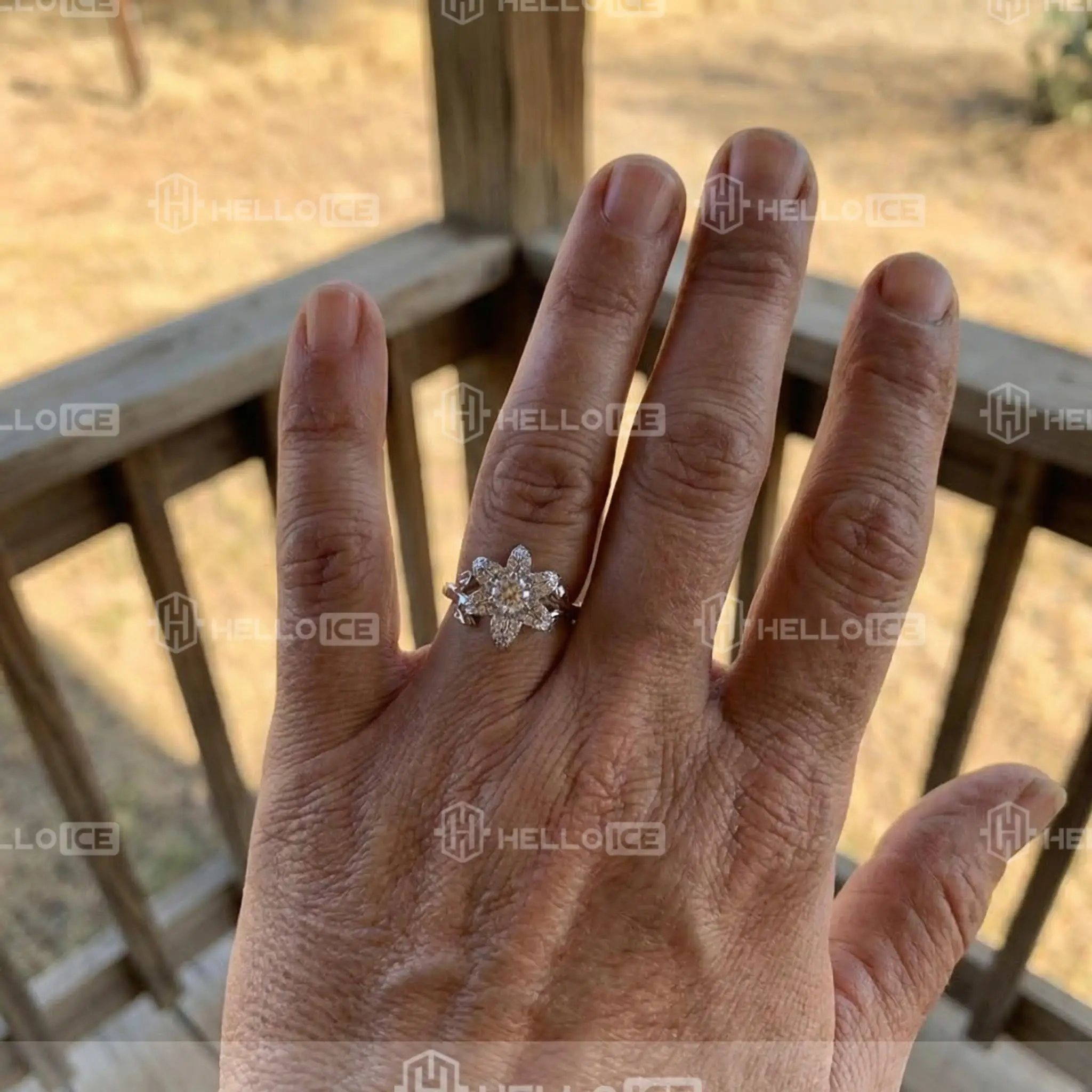 Helloice Review Image