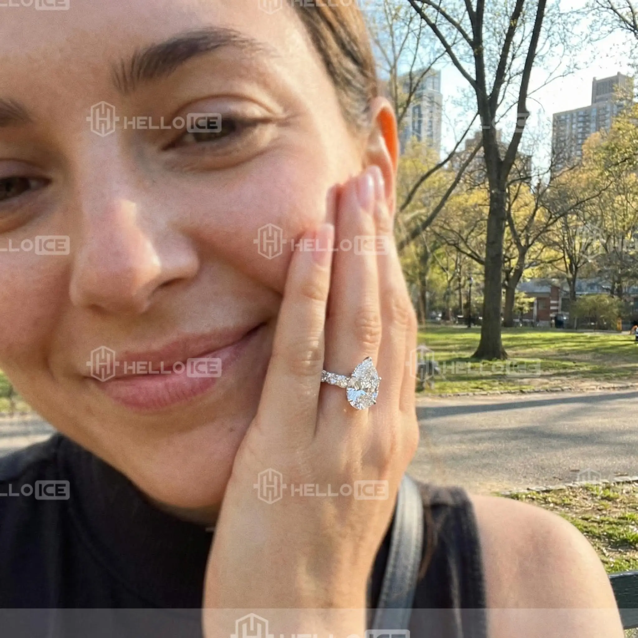 Helloice Review Image