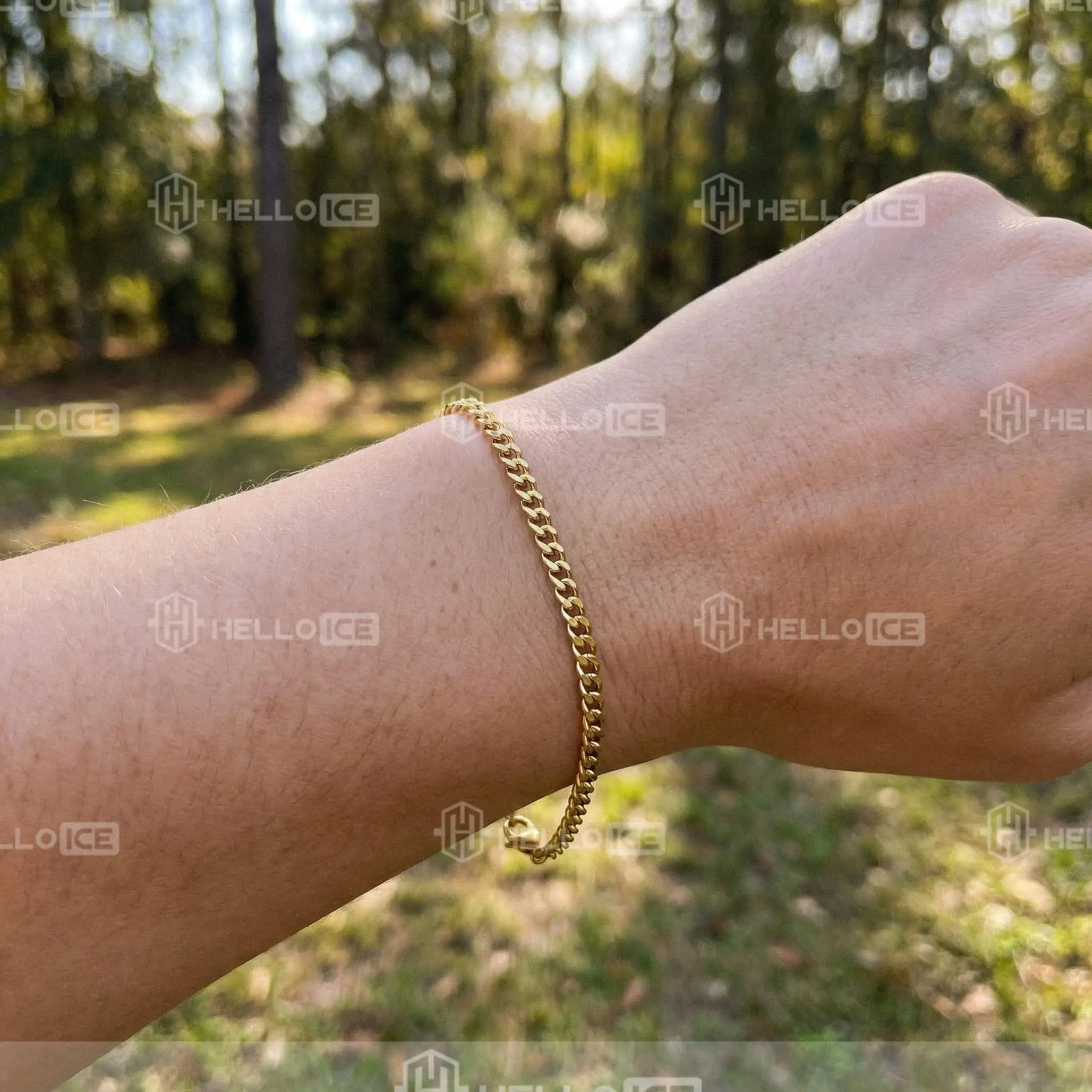 Helloice Review Image