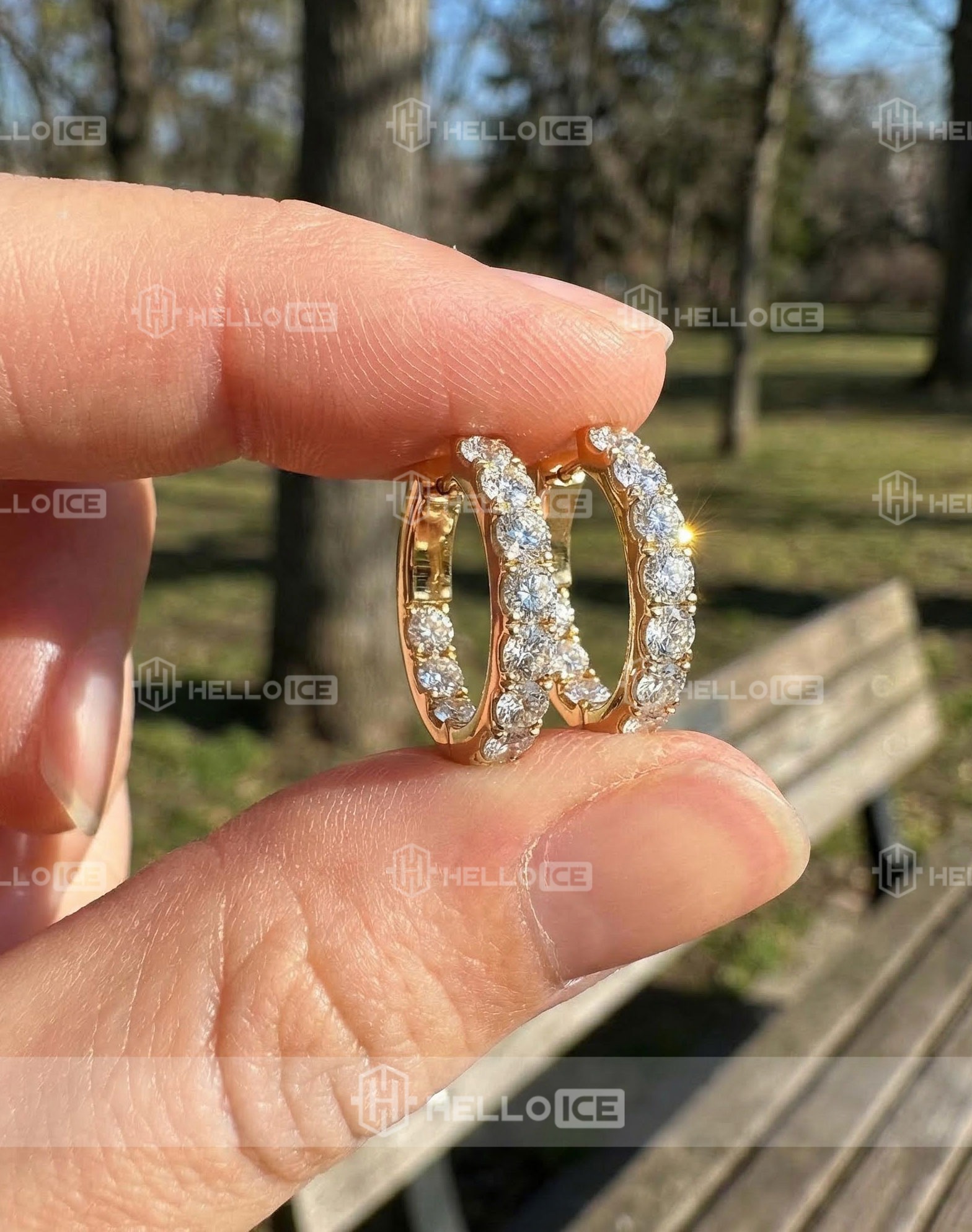 Helloice Review Image