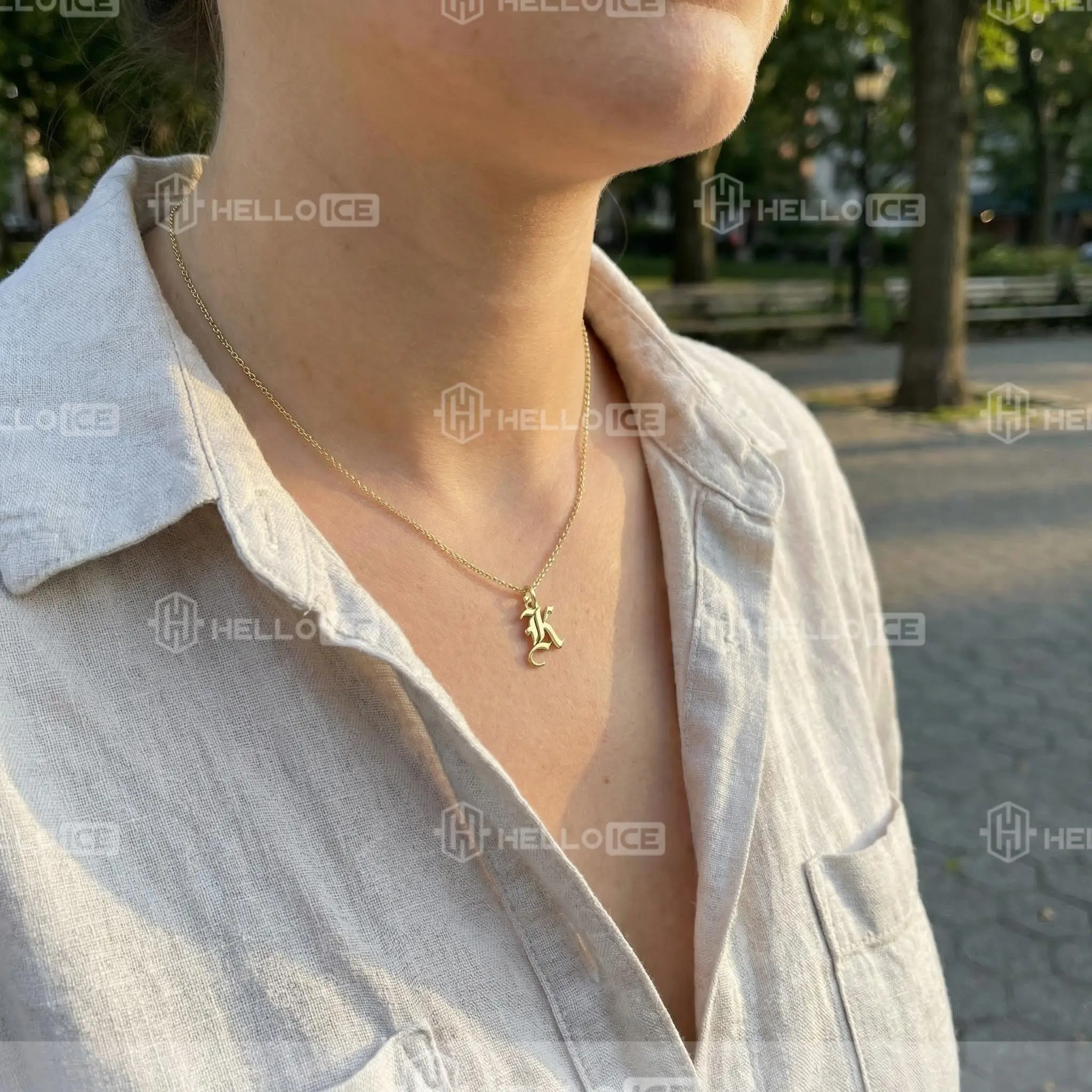 Helloice Review Image