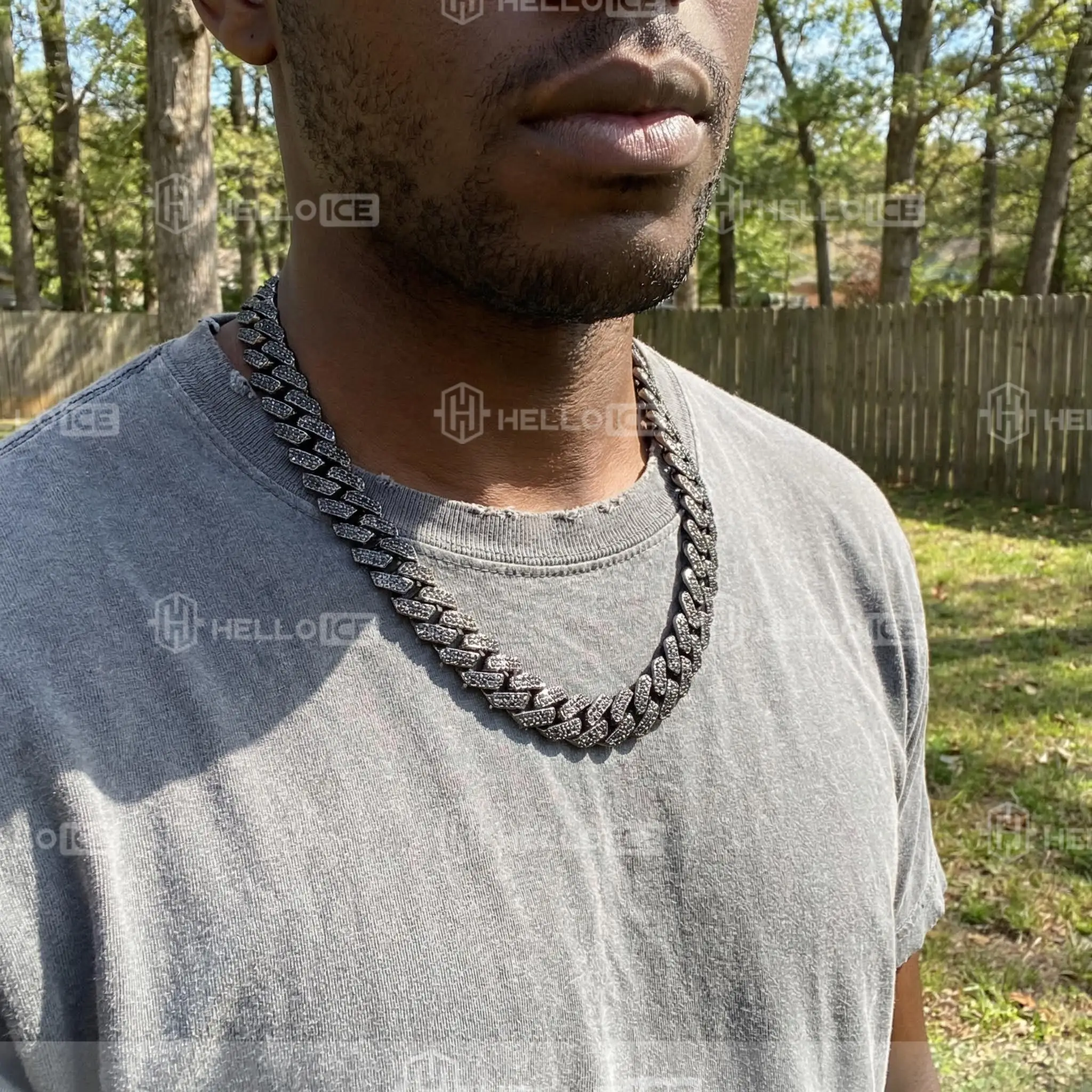 Helloice Review Image