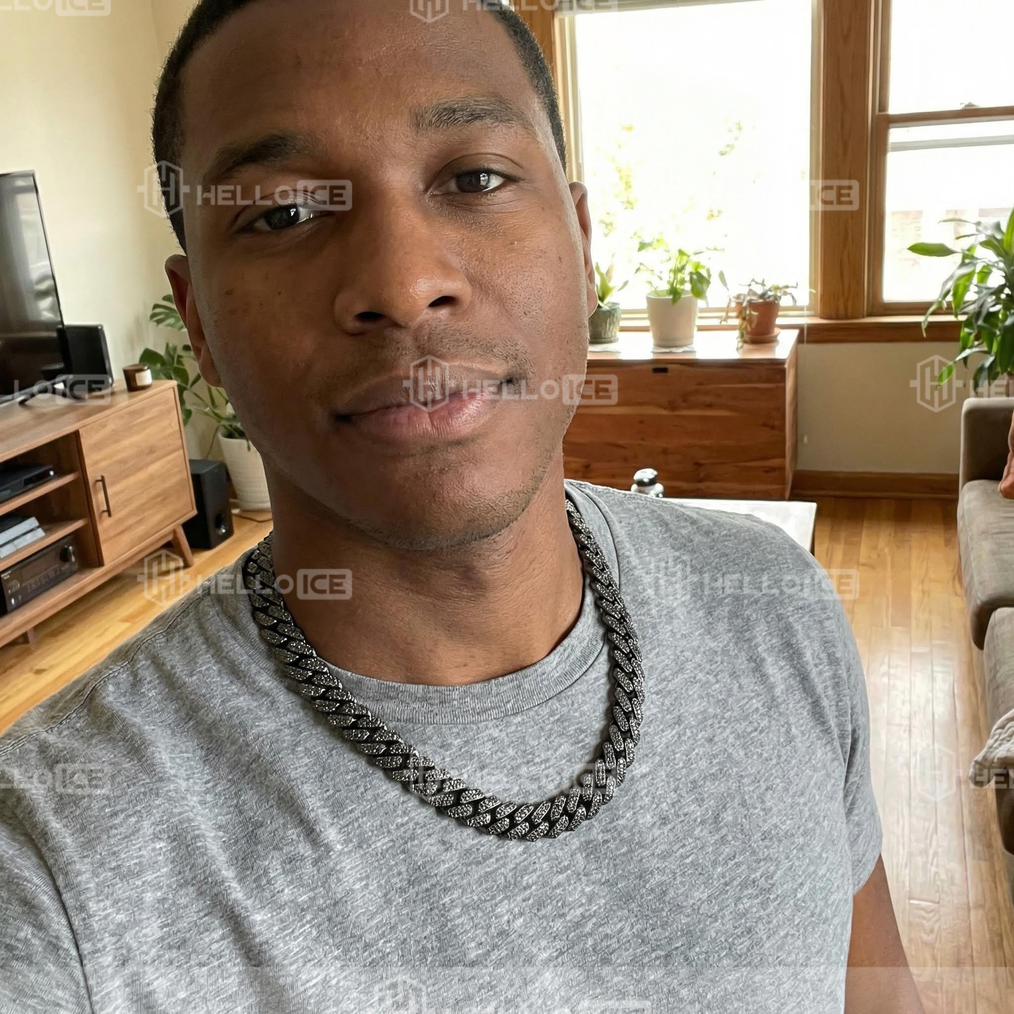 Helloice Review Image