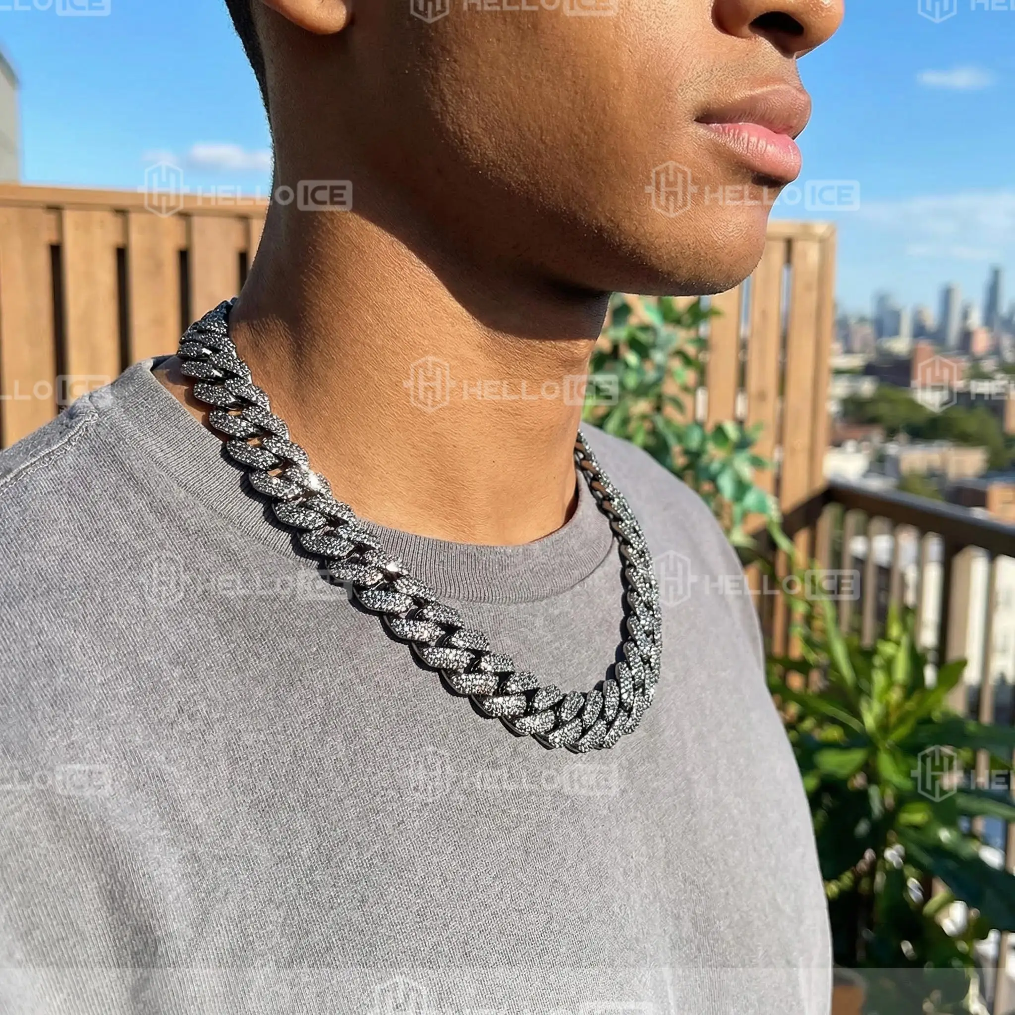 Helloice Review Image