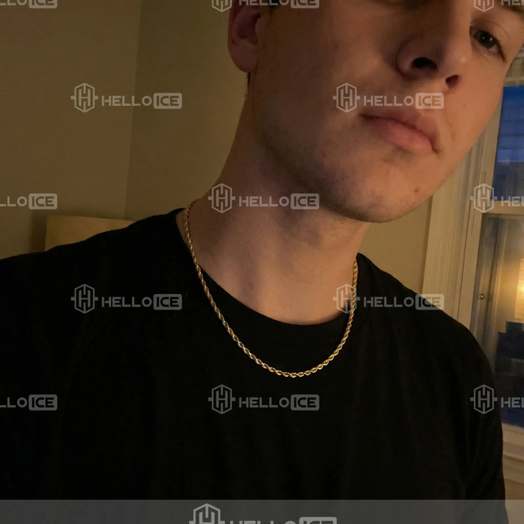 Helloice Review Image