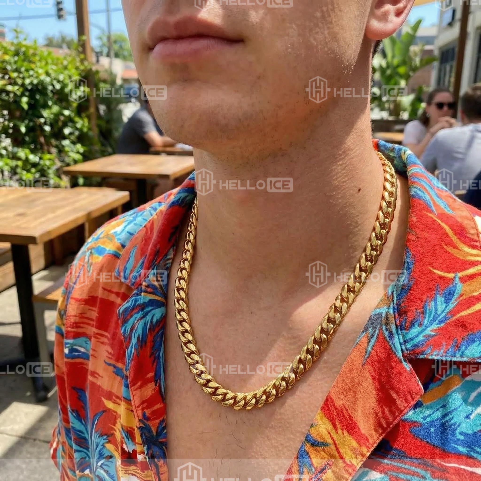 Helloice Review Image