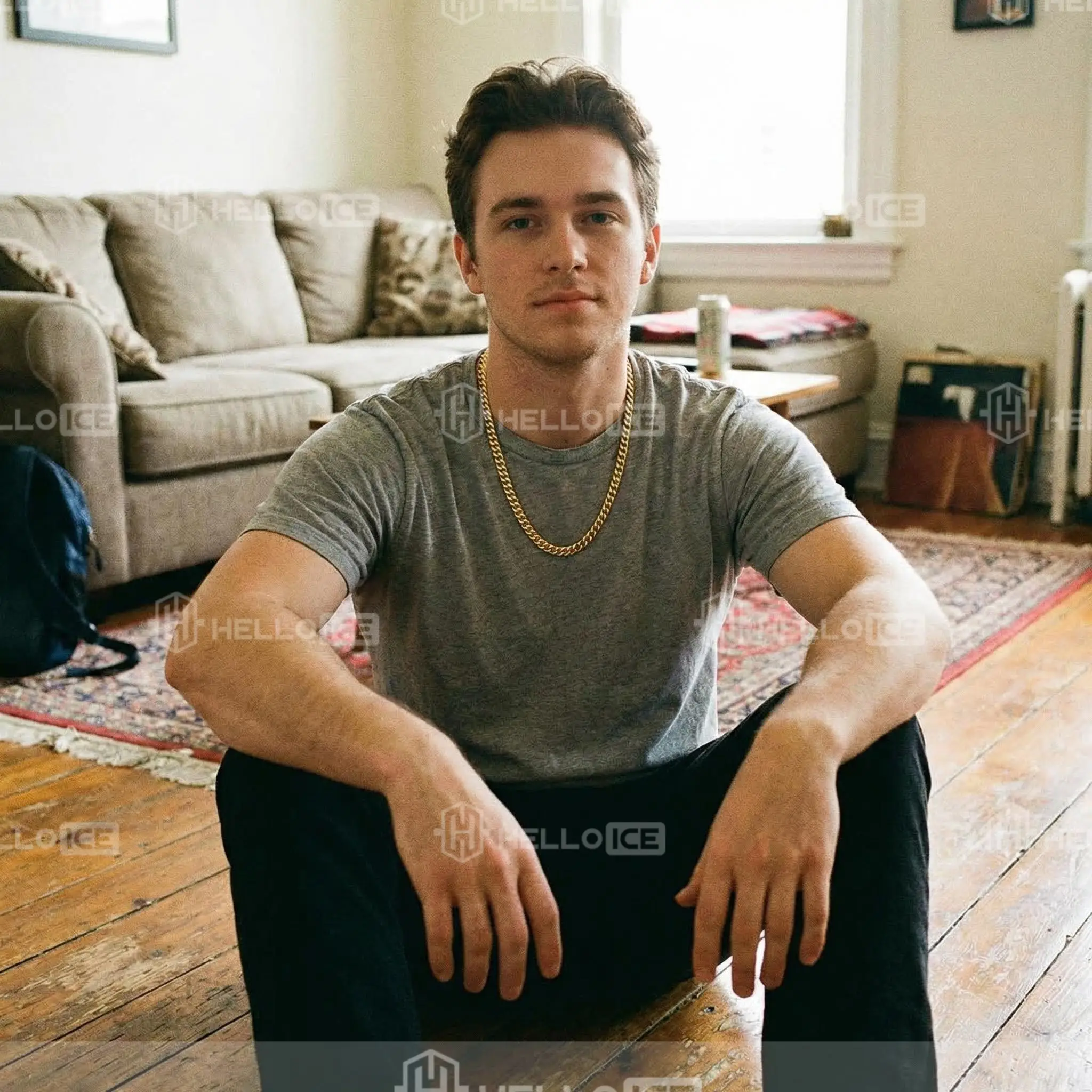 Helloice Review Image