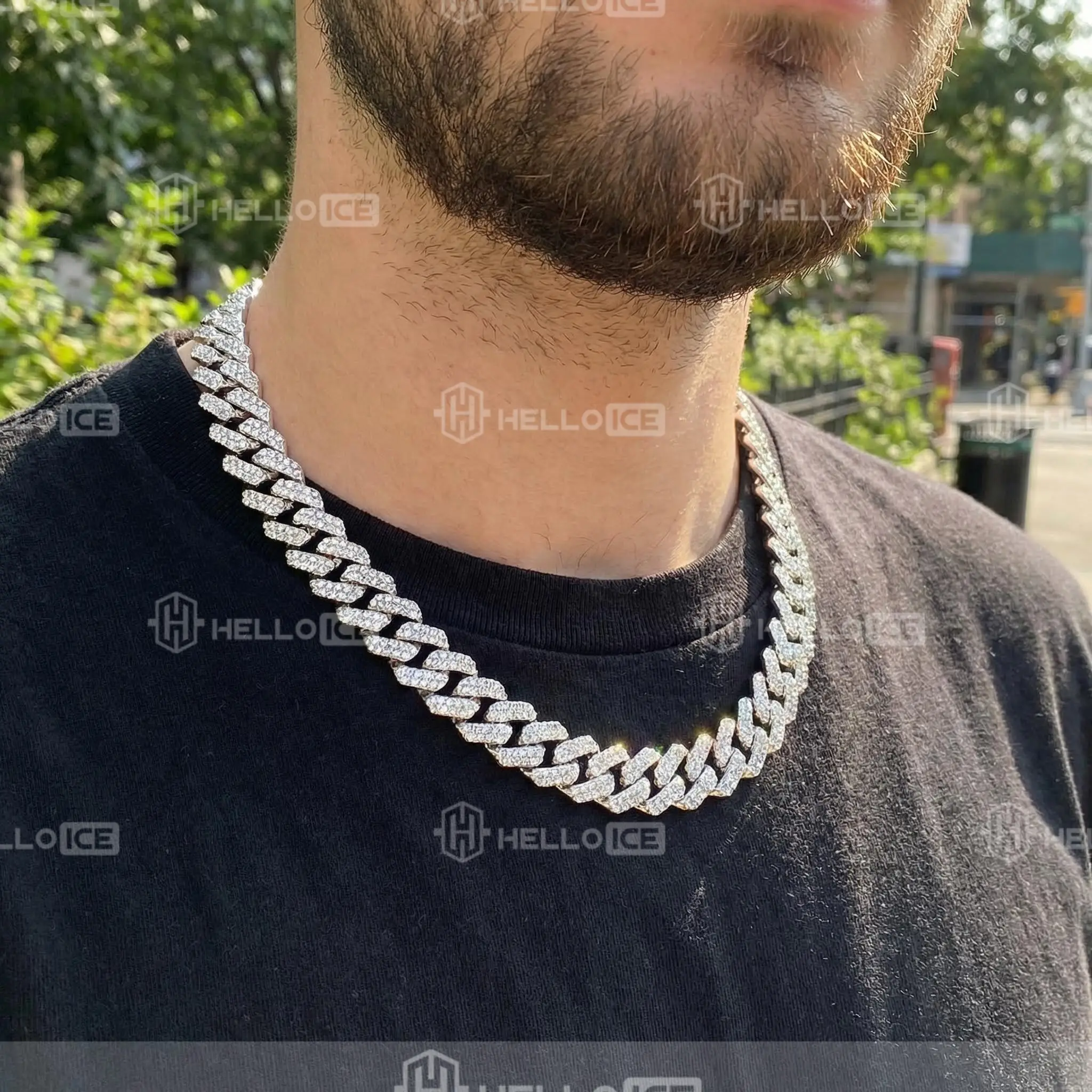 Helloice Review Image