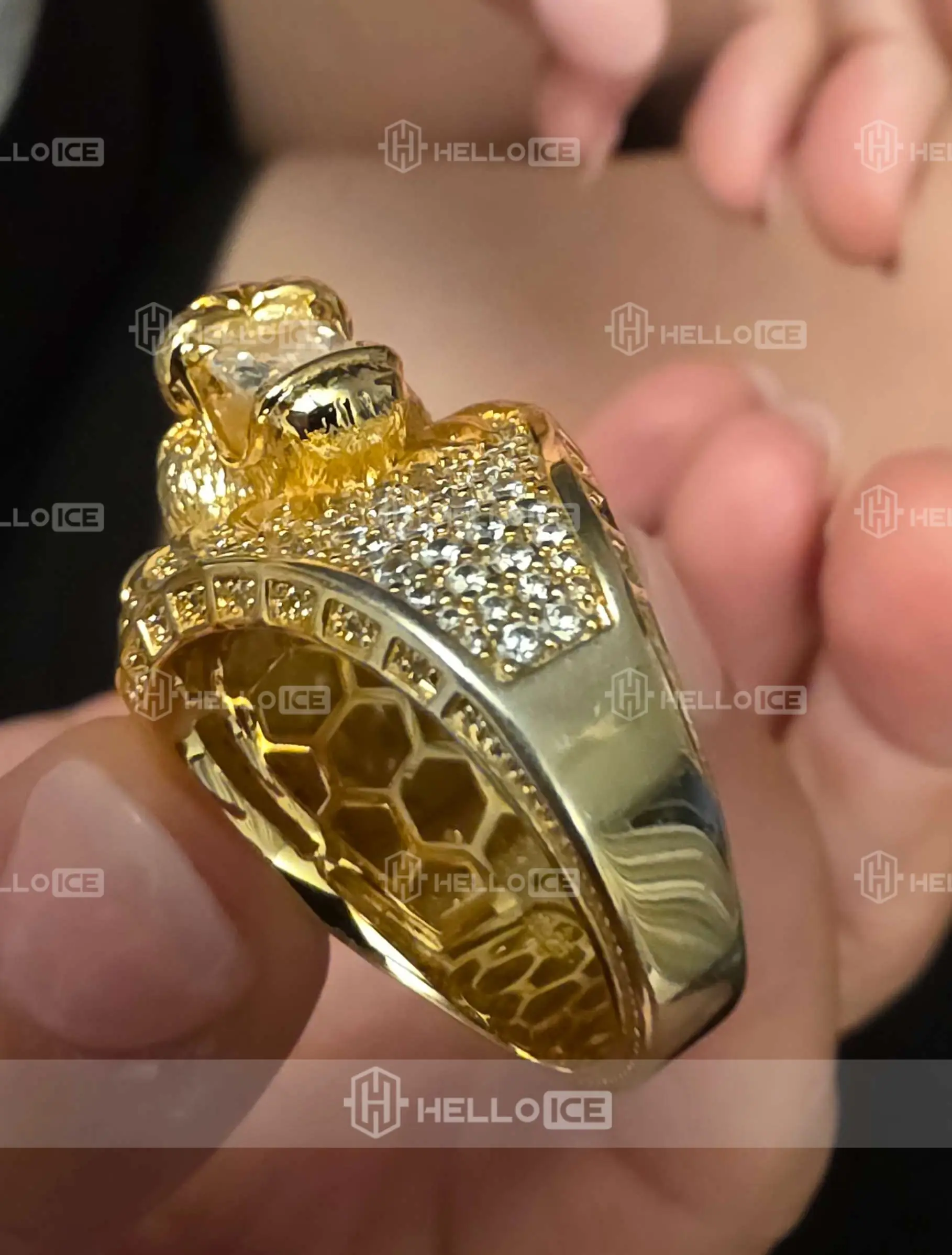 Helloice Review Image