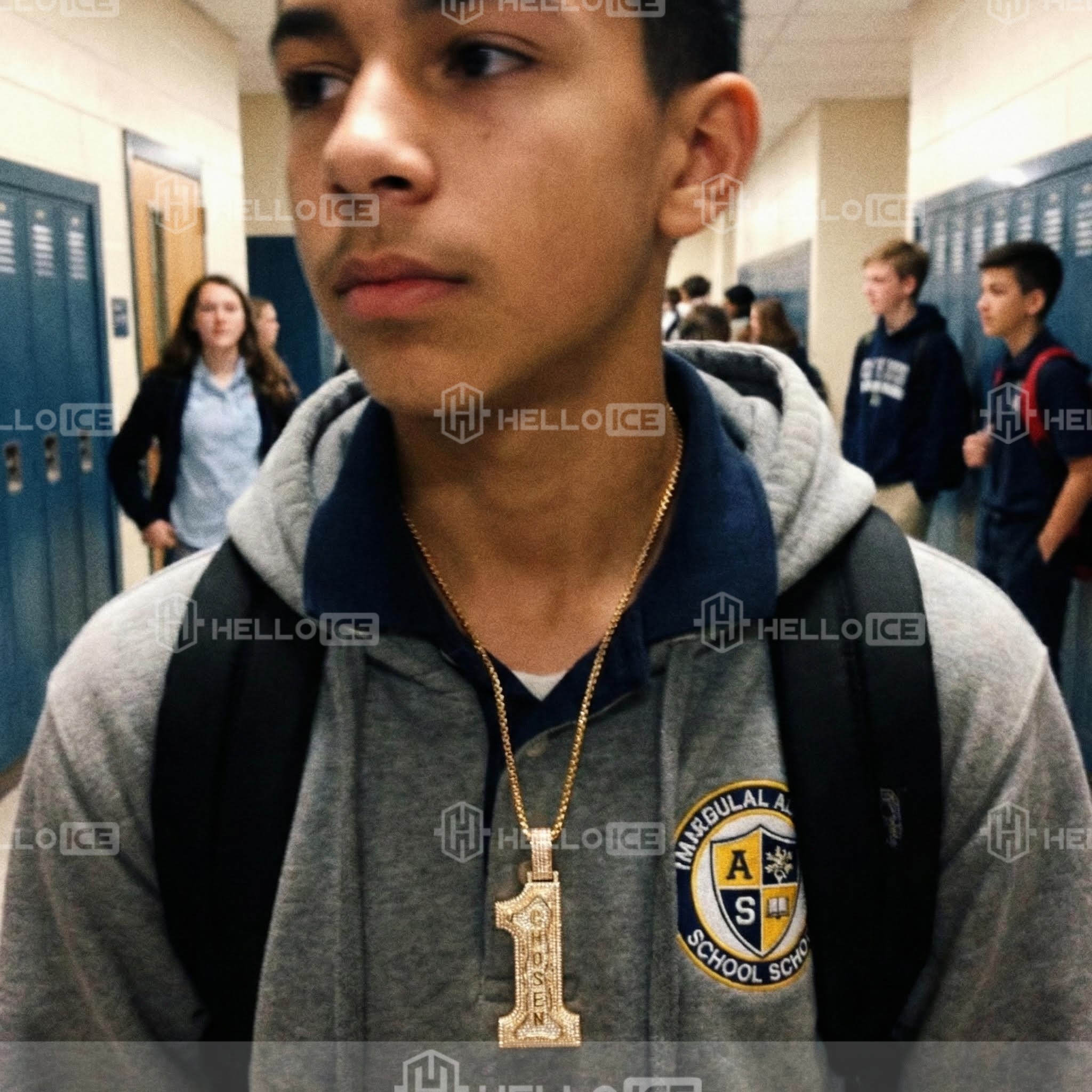 Helloice Review Image