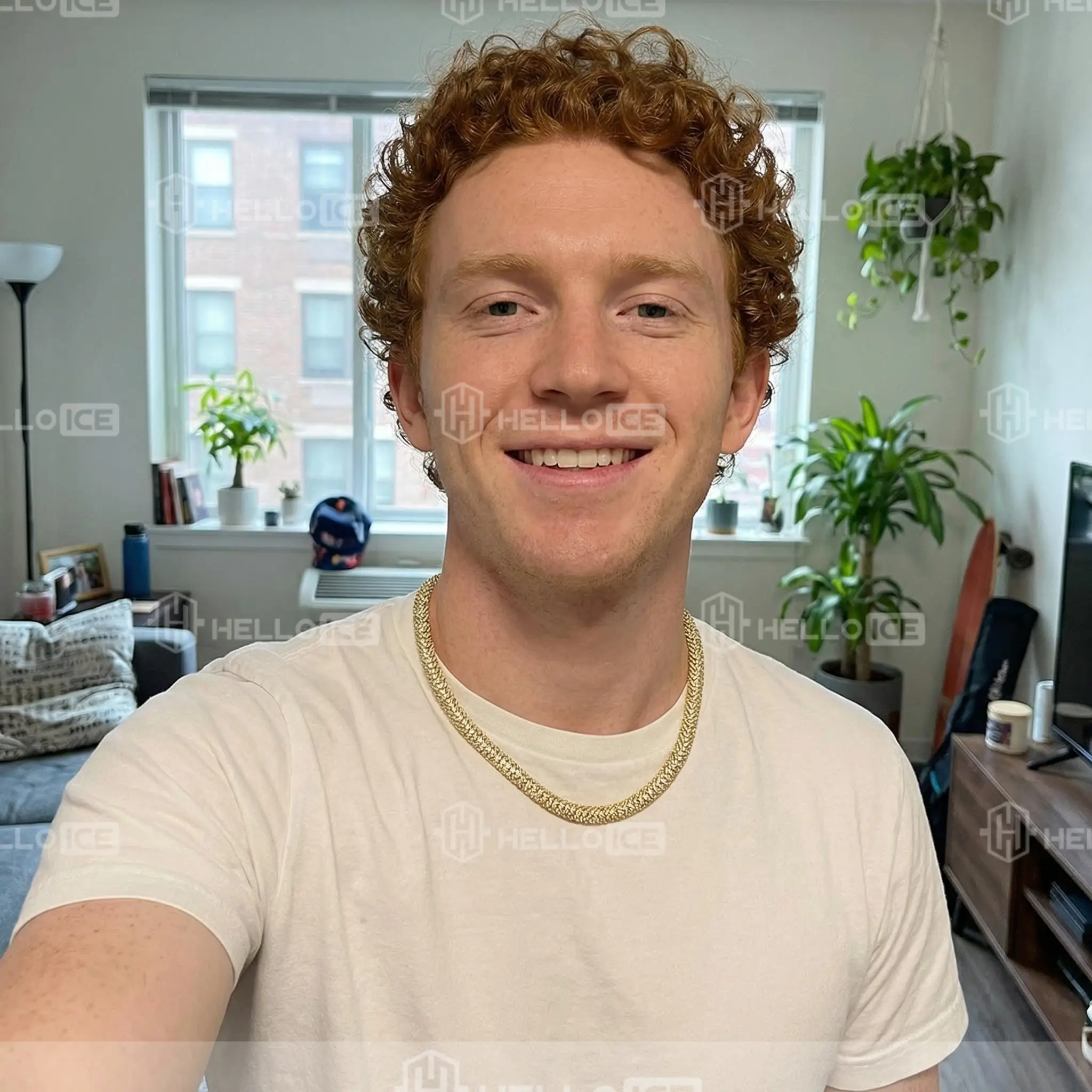 Helloice Review Image