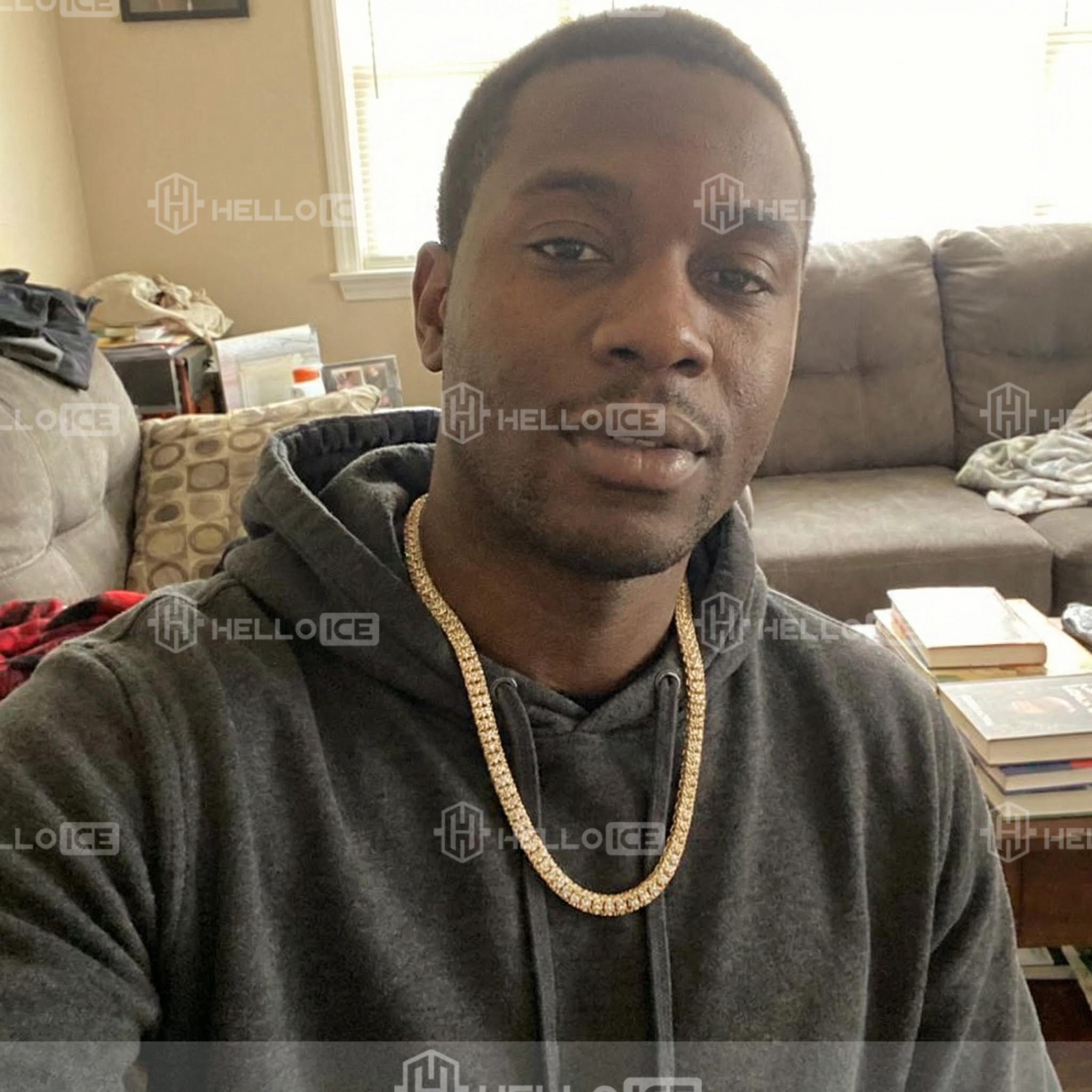 Helloice Review Image