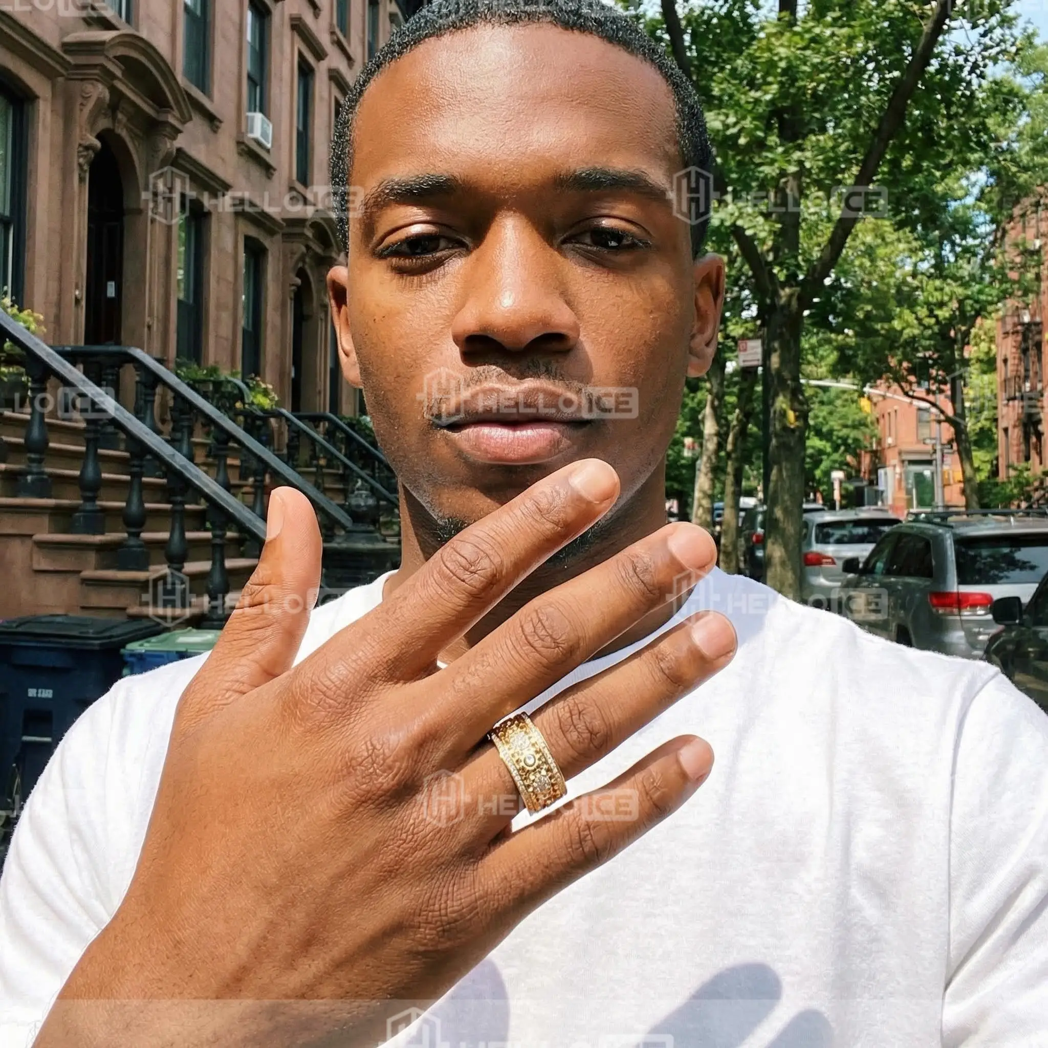 Helloice Review Image