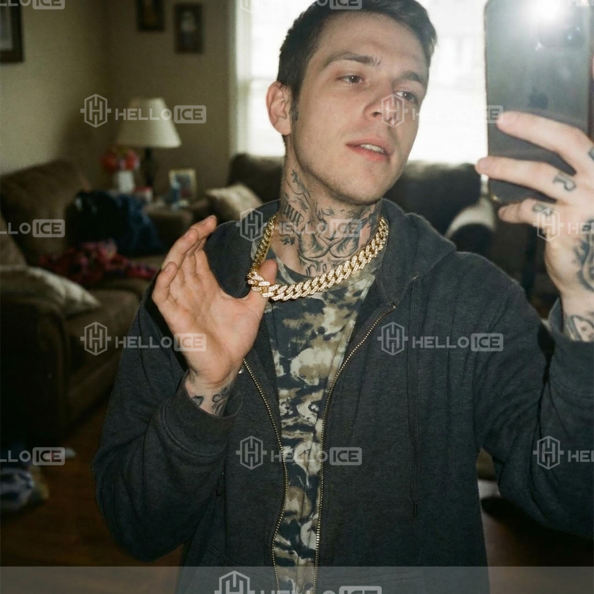 Helloice Review Image