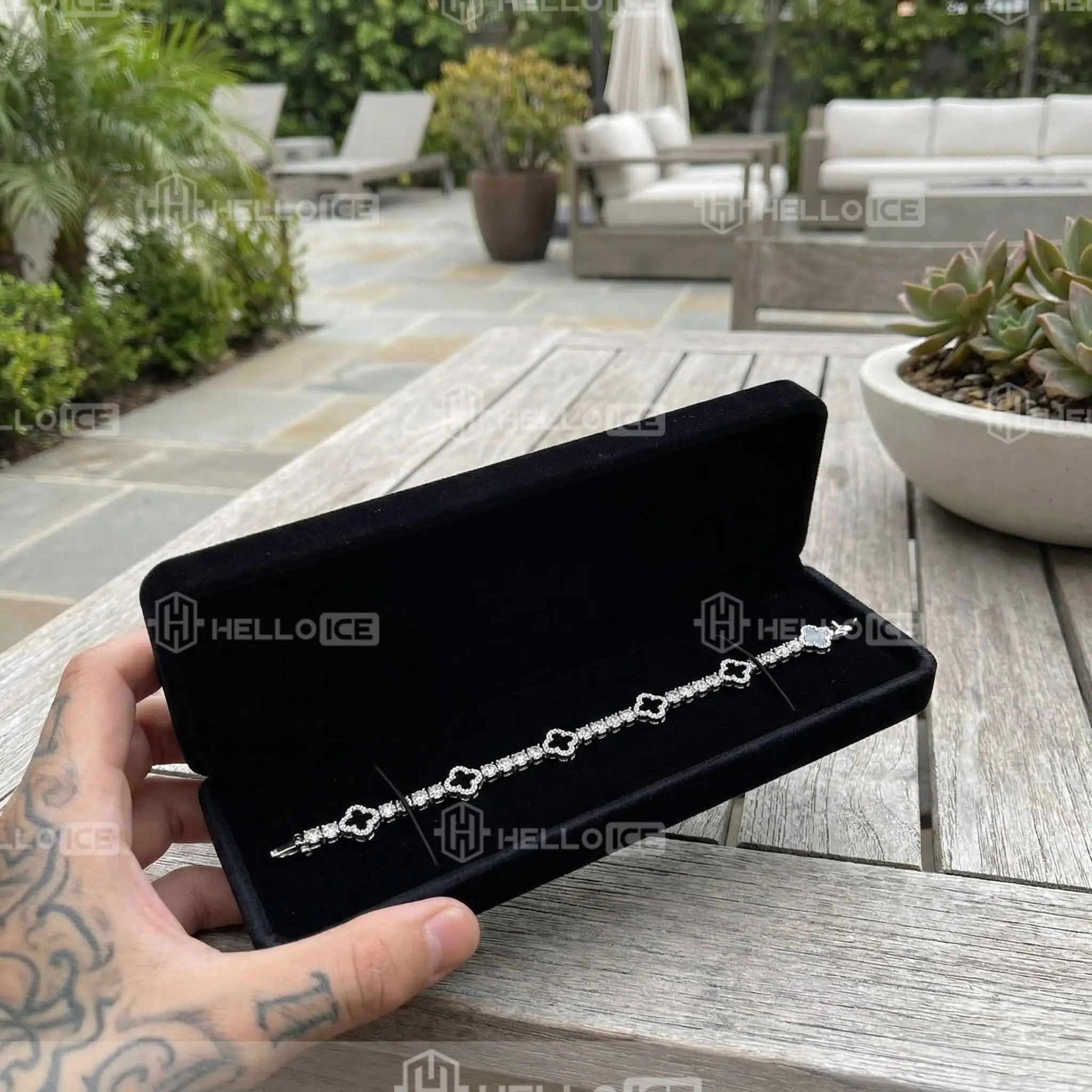 Helloice Review Image