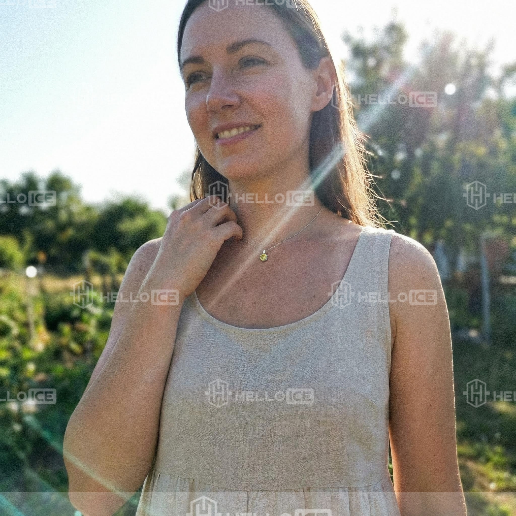 Helloice Review Image