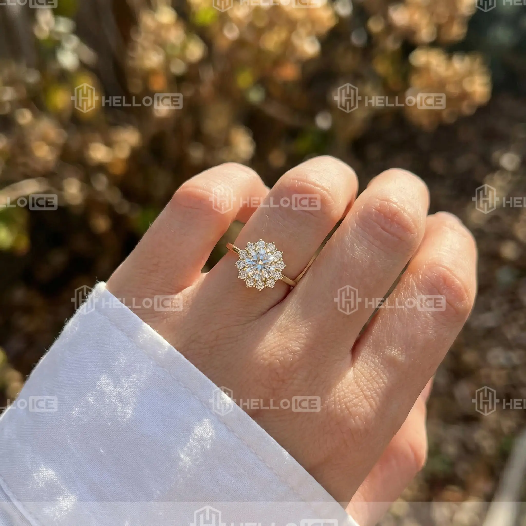 Helloice Review Image
